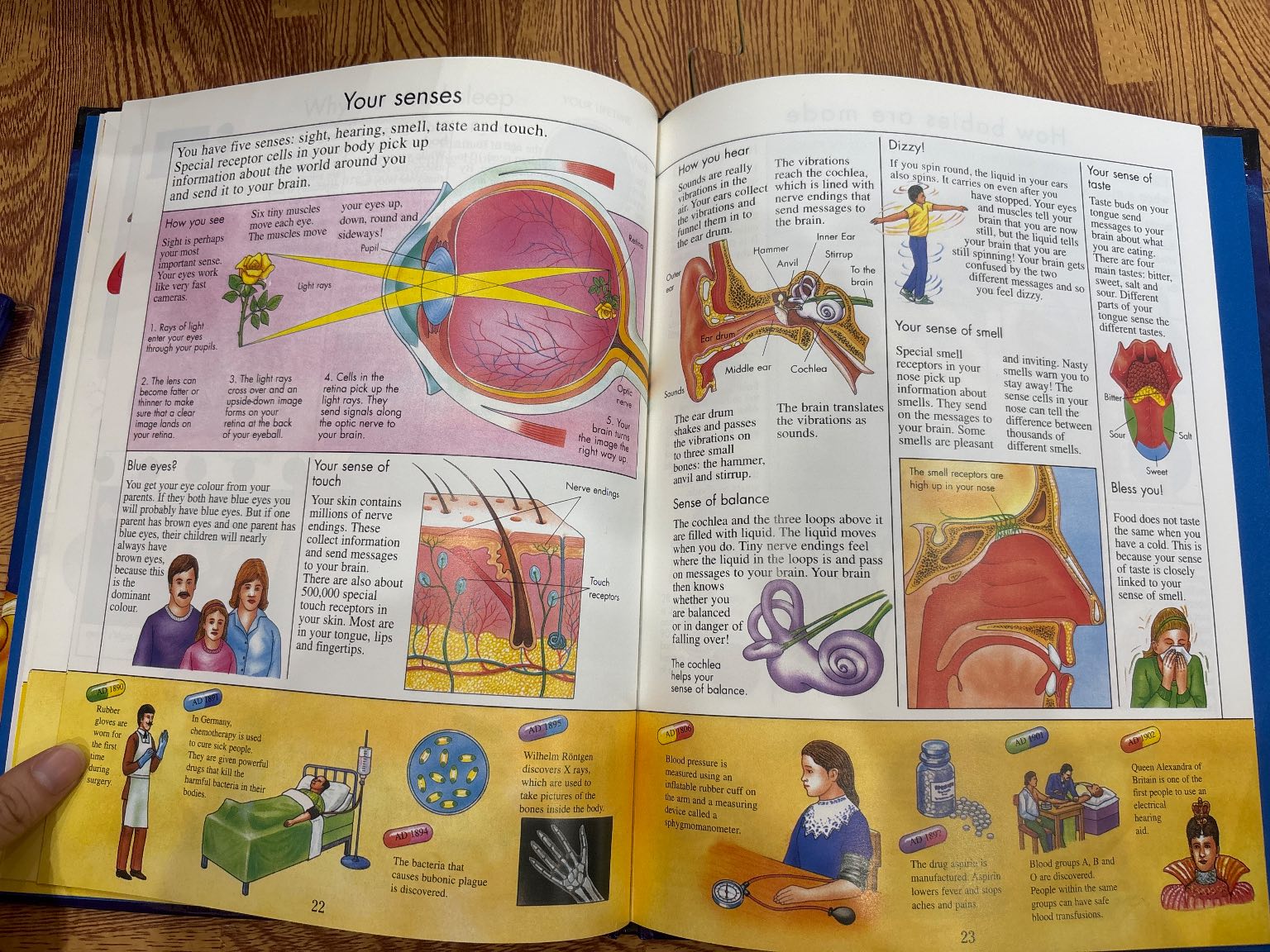 Knowledge Masters How Your Body Works — ảnh 4