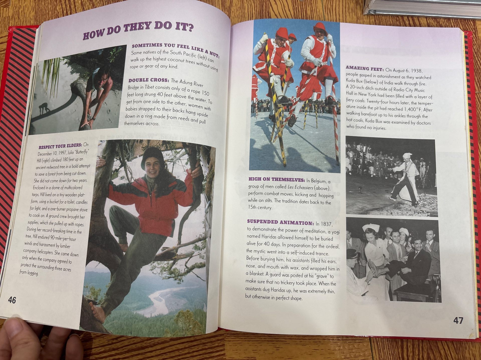 Ripley's Believe It or Not! SPECIAL EDITION — ảnh 2