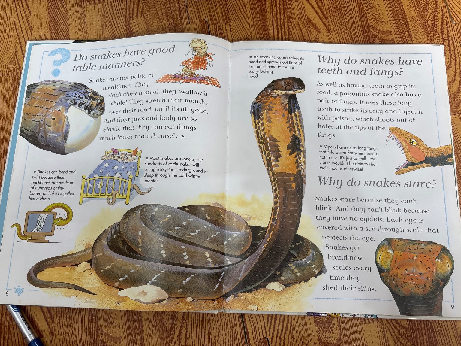 I Wonder Why Snakes Shed Their Skins and Other Questions About Reptiles — ảnh 2