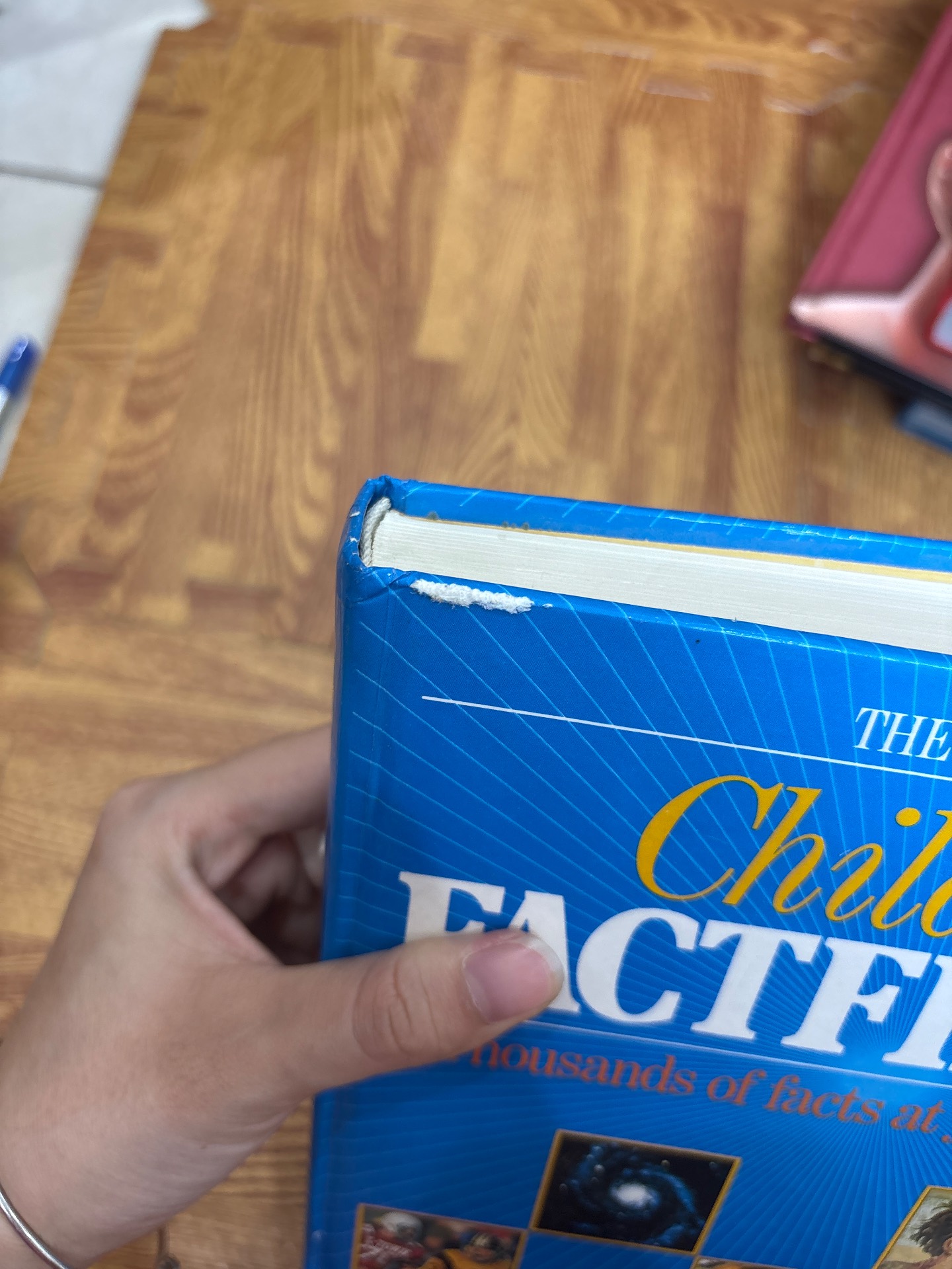The Kingfisher Children's Factfinder — ảnh 7