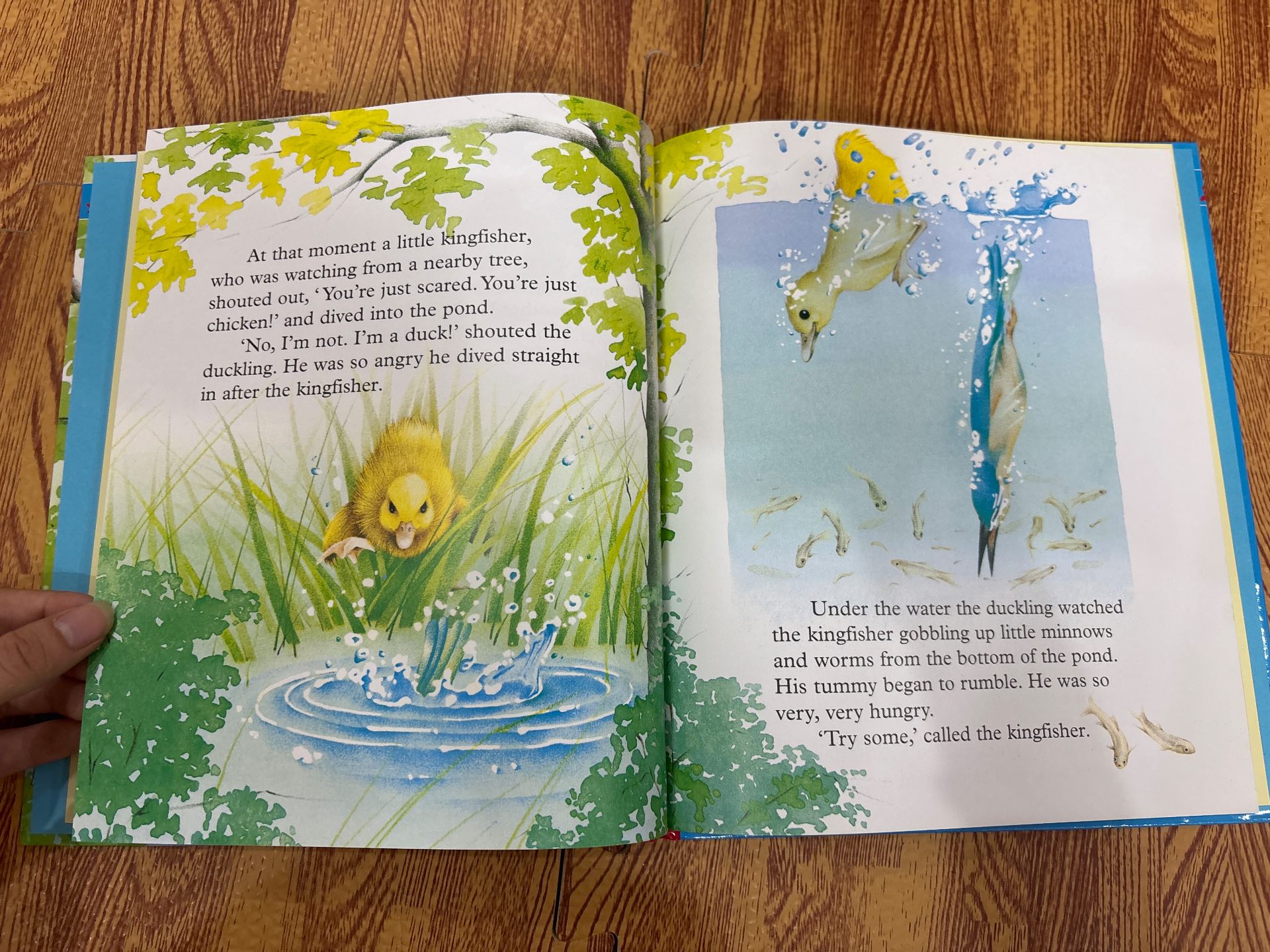 The Hungry Duckling — ảnh 7