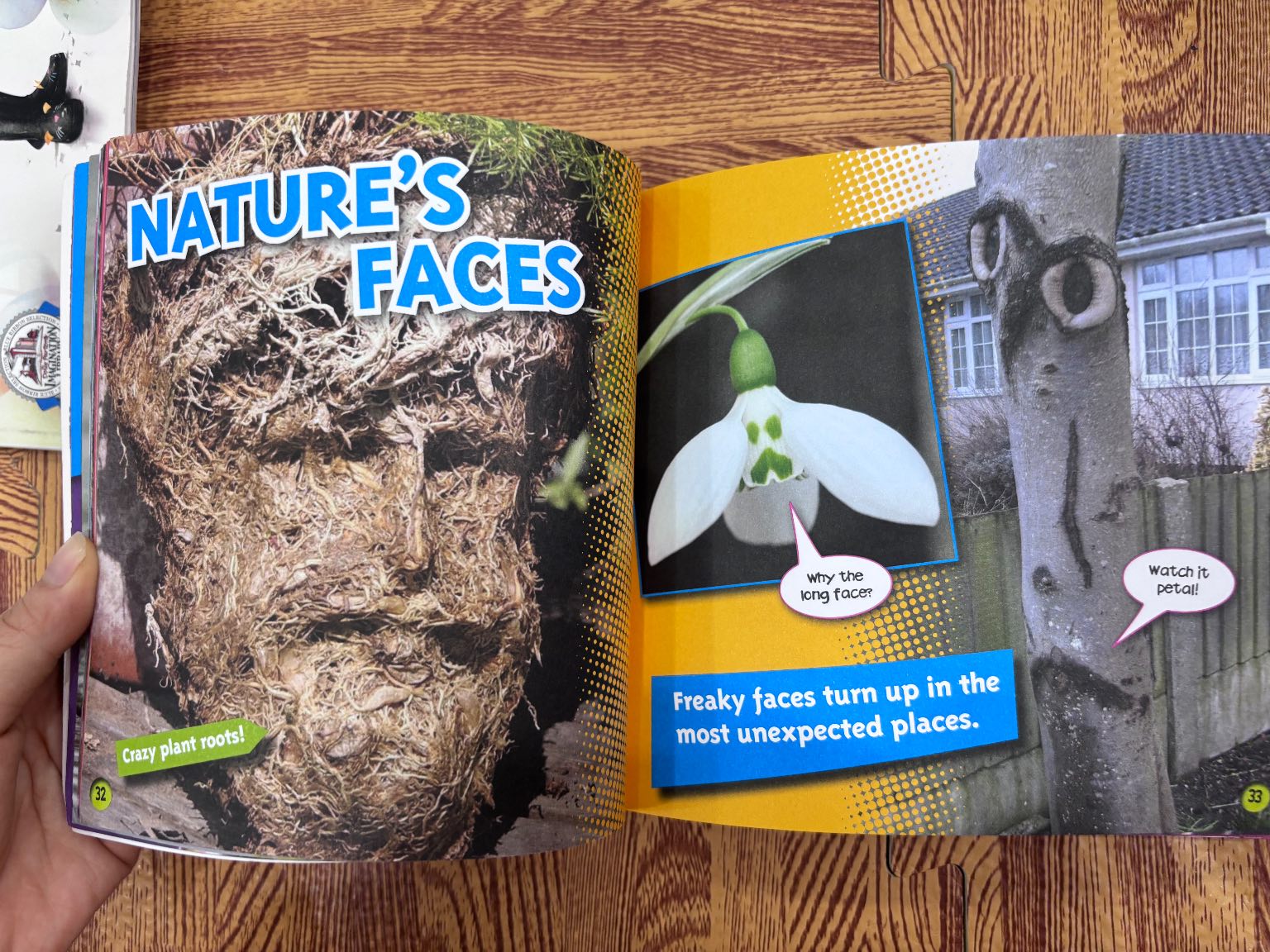 Ripley's Believe It or Not! Kids: Fun Facts & Silly Stories — ảnh 3