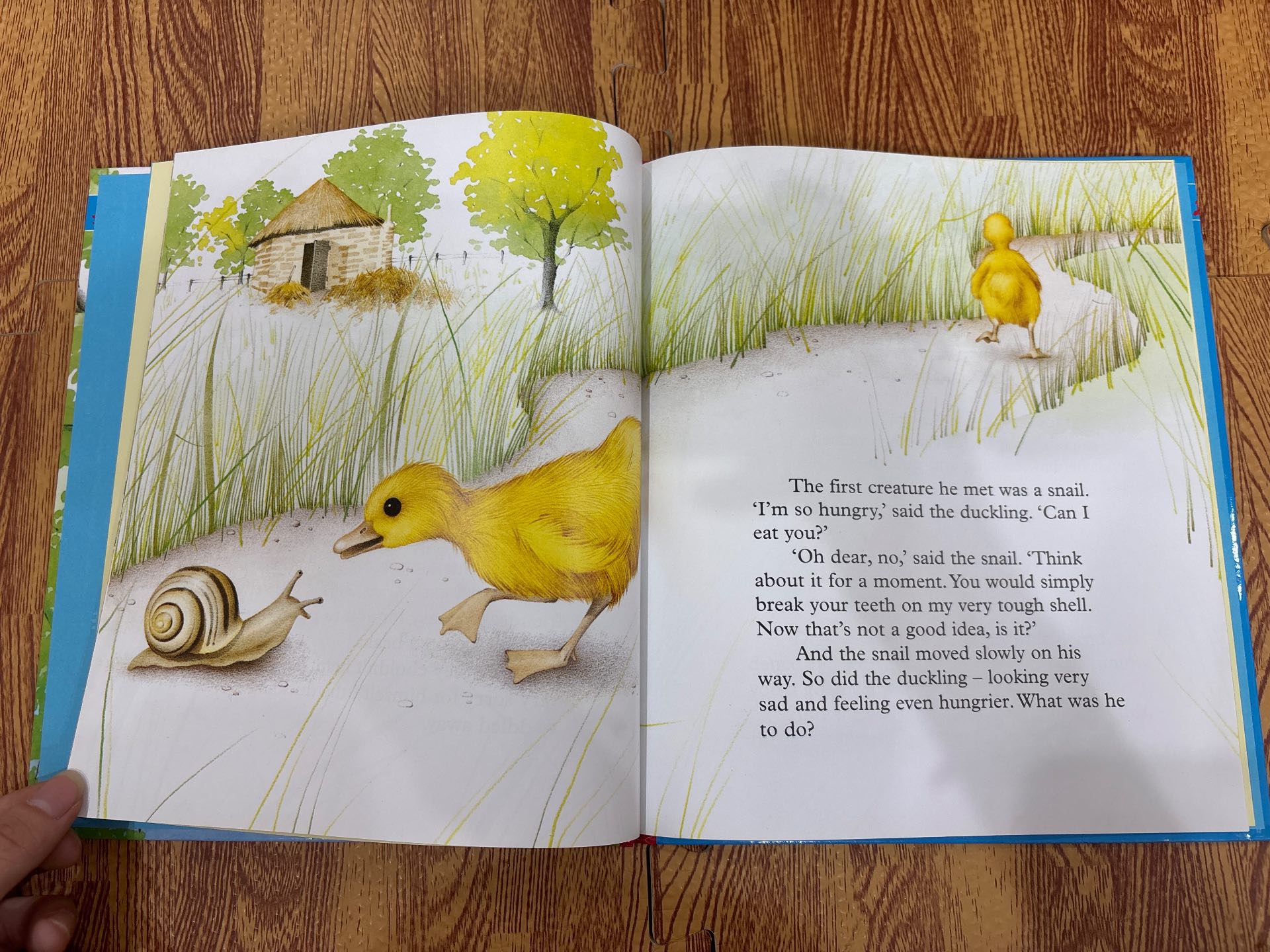 The Hungry Duckling — ảnh 4