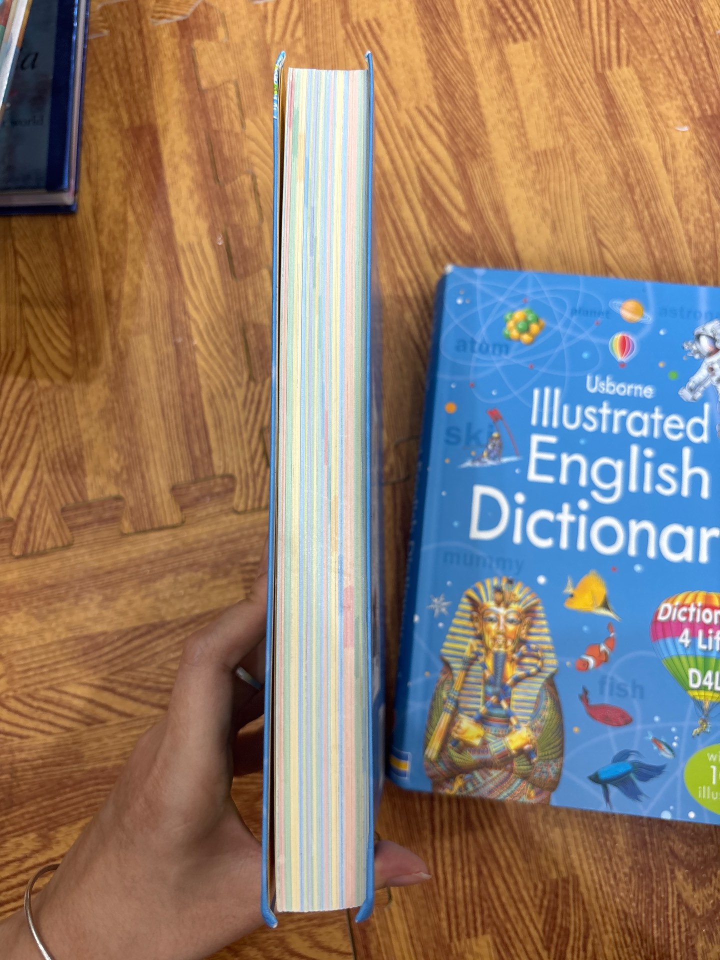 Usborne Illustrated English Dictionary — ảnh 7