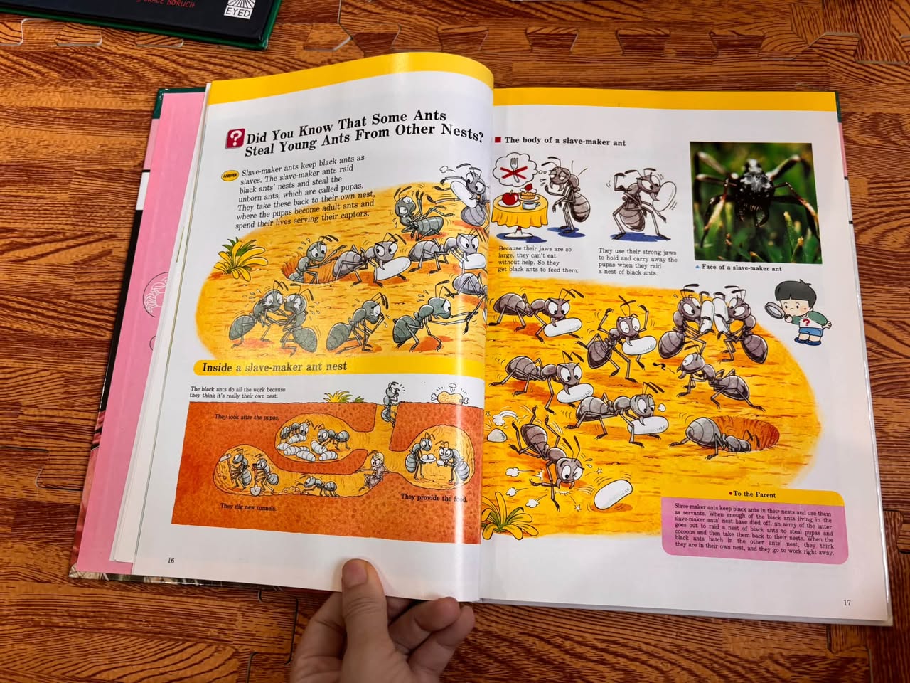 ANIMALS IN ACTION (A CHILD'S FIRST LIBRARY OF LEARNING - TIME LIFE) — ảnh 4