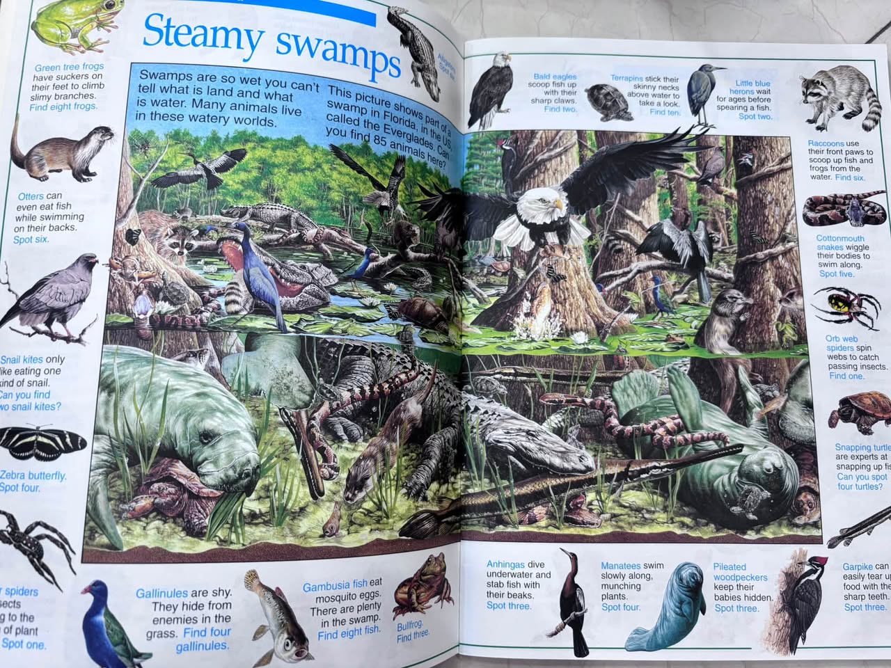 THE GREAT ANIMAL SEARCH (LOOK, PUZZLE, LEARN) — ảnh 3