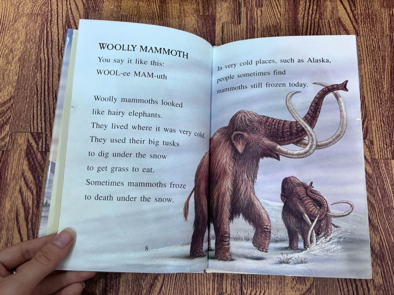After the Dinosaurs: Mammoths and Fossil Mammals – Charlotte Lewis Brown — ảnh 3