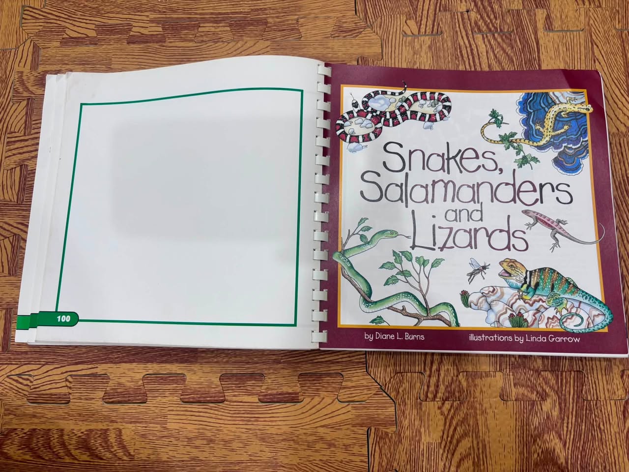 FUN WITH NATURE: TAKE-ALONG GUIDE — ảnh 3