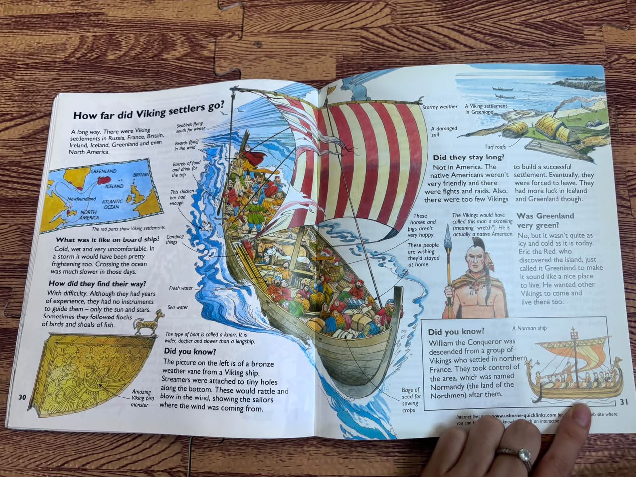 Who Were the Vikings? – Usborne — ảnh 5