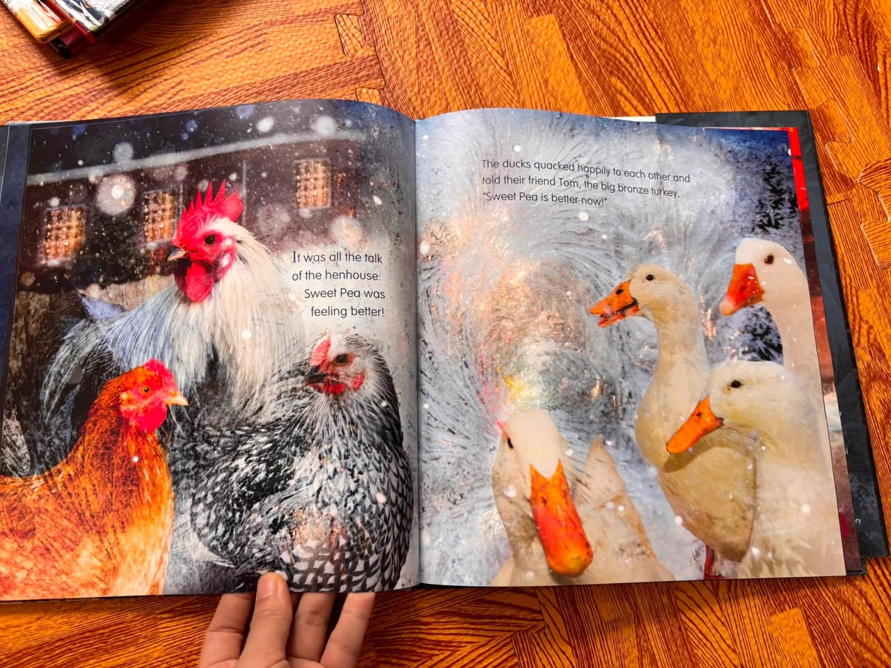 SWEET PEA & FRIENDS: THE SHEEPOVER (JOHN & JENNIFER CHURCHMAN) — ảnh 5