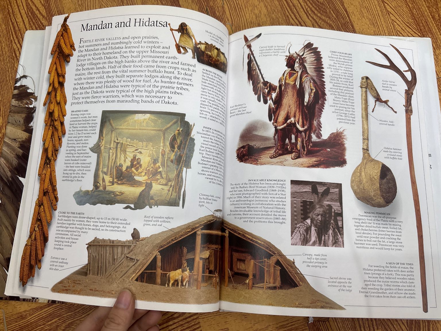 NORTH AMERICAN INDIAN — ảnh 5