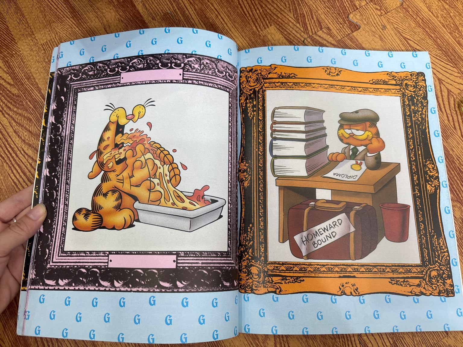 The Garfield Selection — ảnh 2