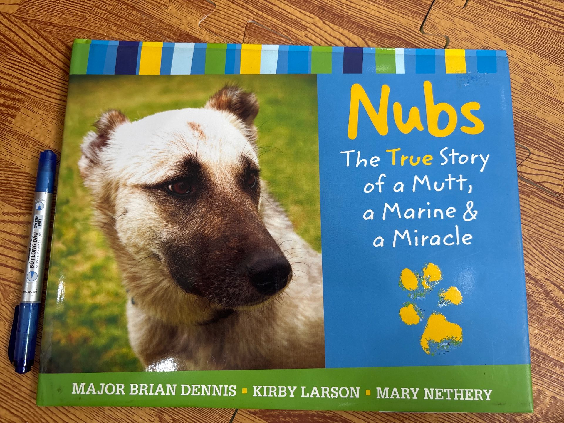 Nubs