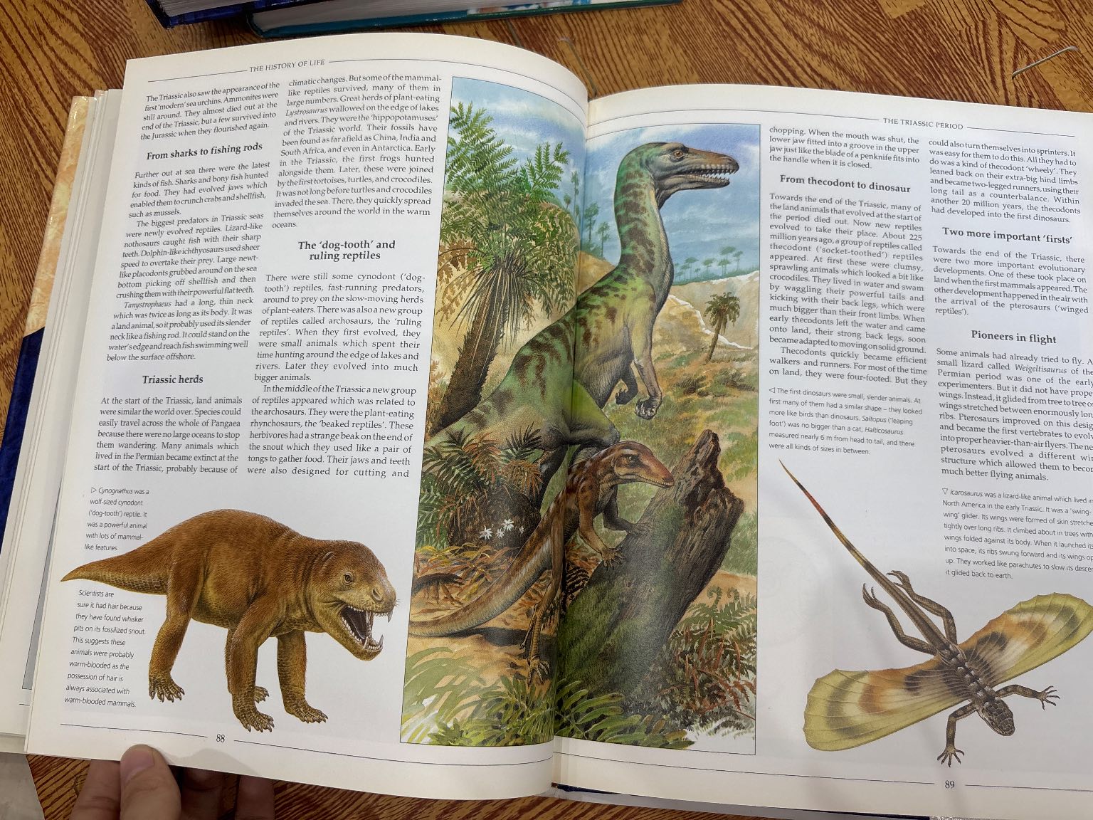 Prehistoric World — ảnh 6