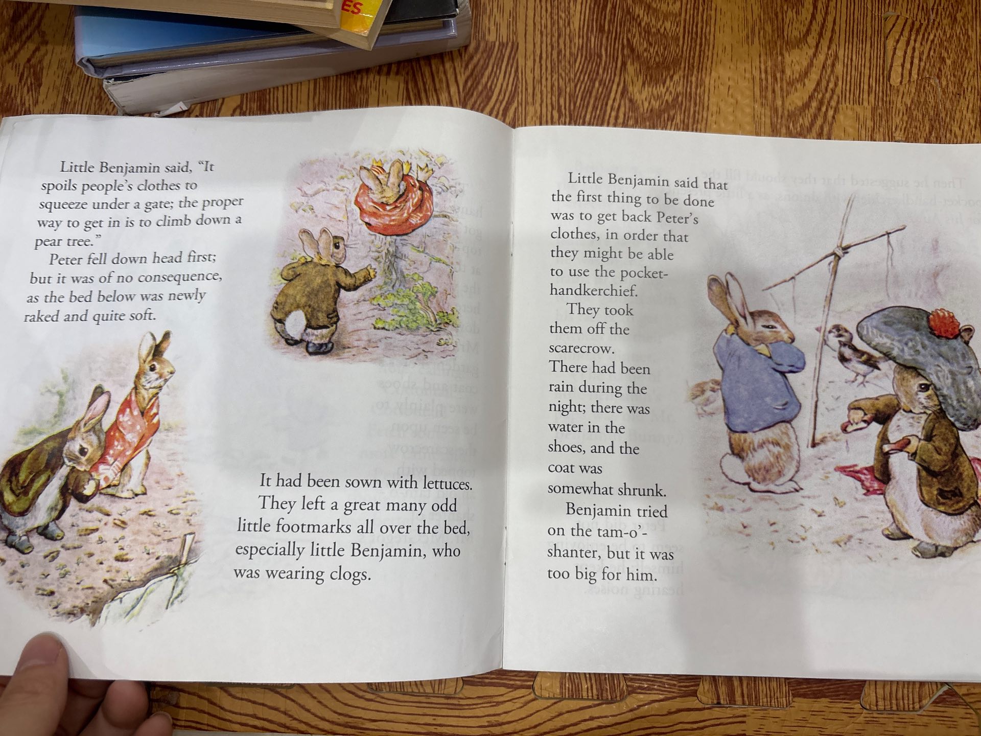 The Tale of Benjamin Bunny — ảnh 3