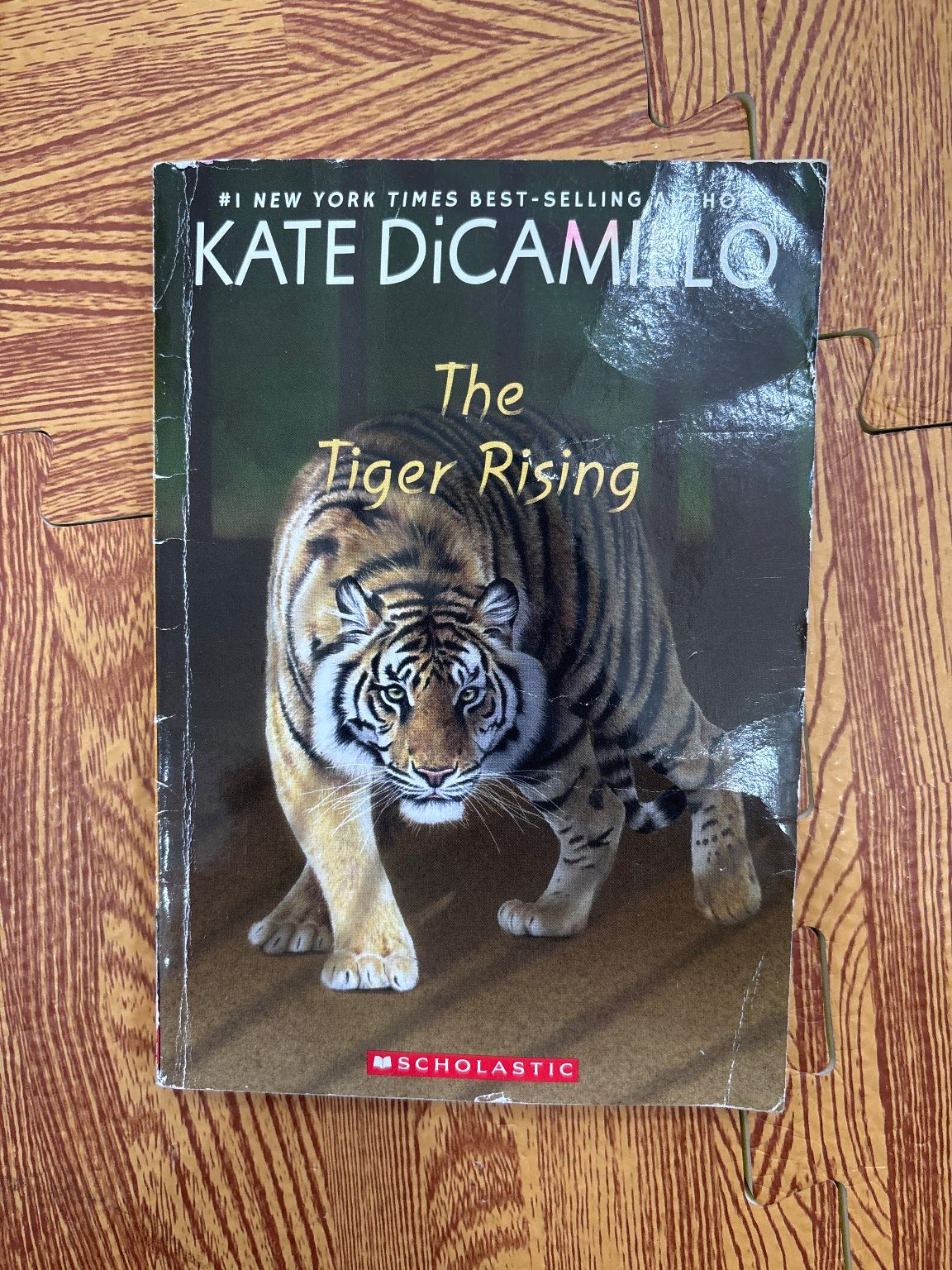 The Tiger Rising — ảnh 1