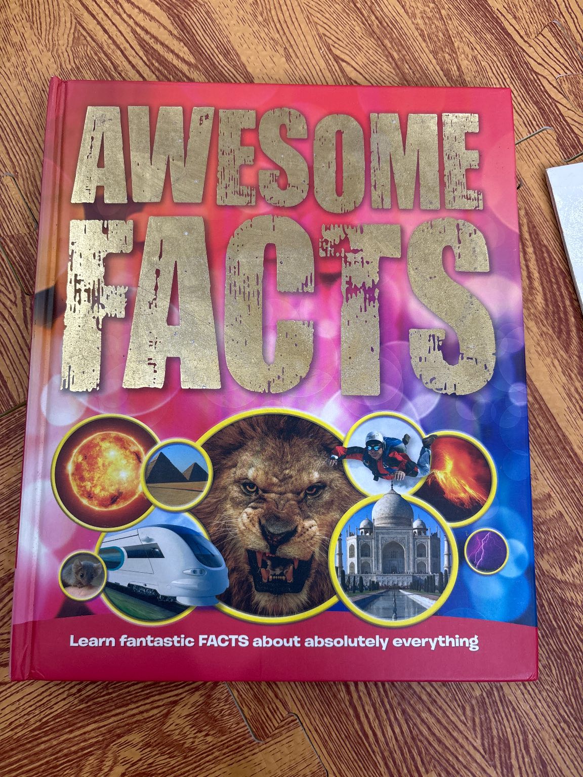 AWESOME FACTS Đỏ