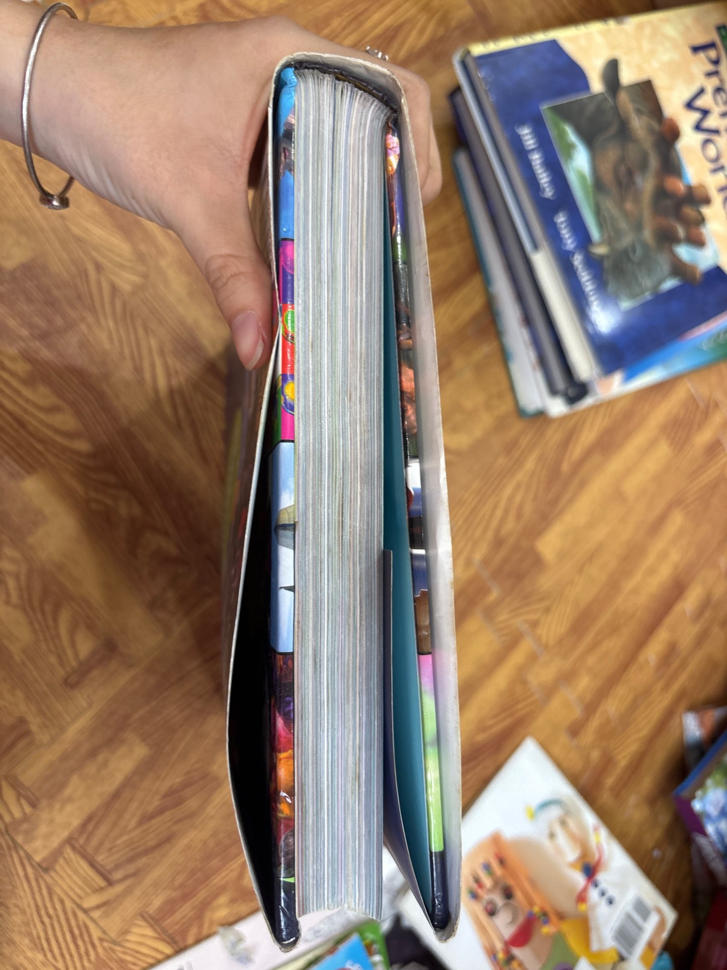 The Big Book of Knowledge — ảnh 7