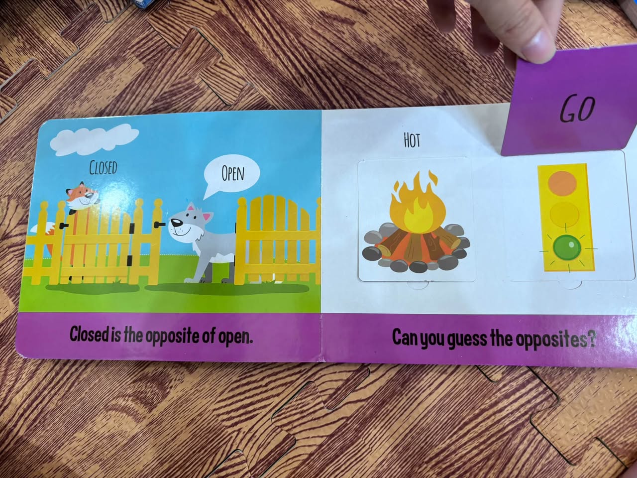 OPPOSITES: EDUCATIONAL LIFT-A-FLAP BOOK — ảnh 3