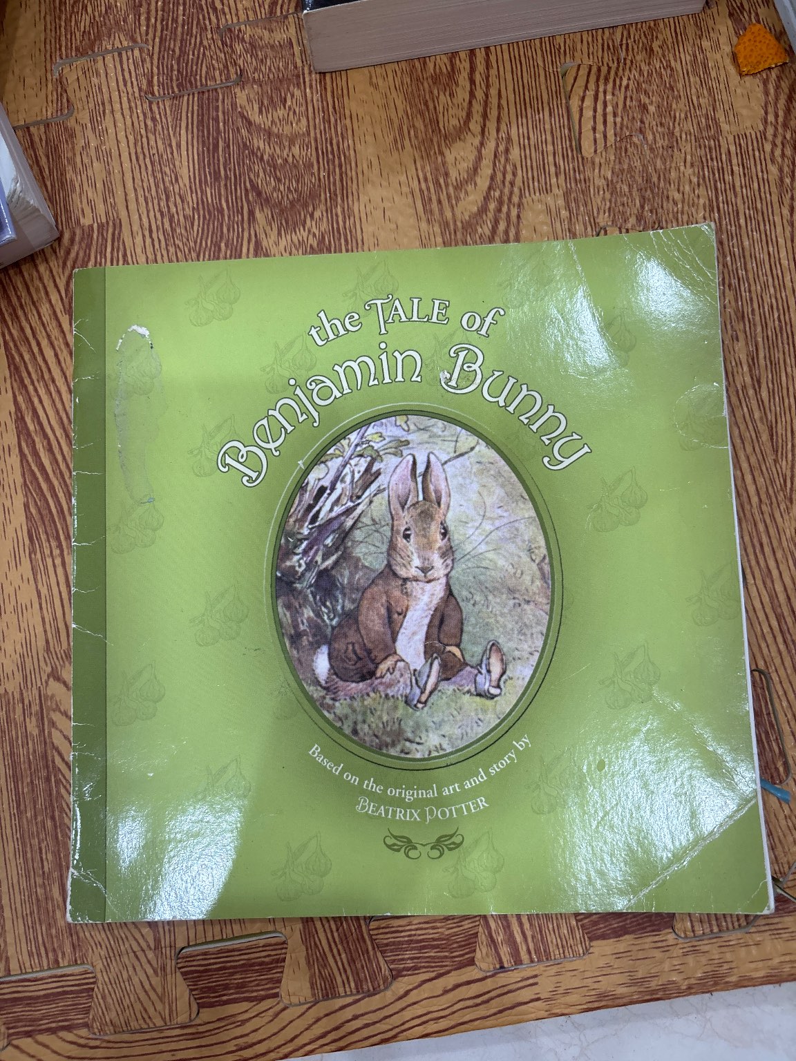 The Tale of Benjamin Bunny — ảnh 1