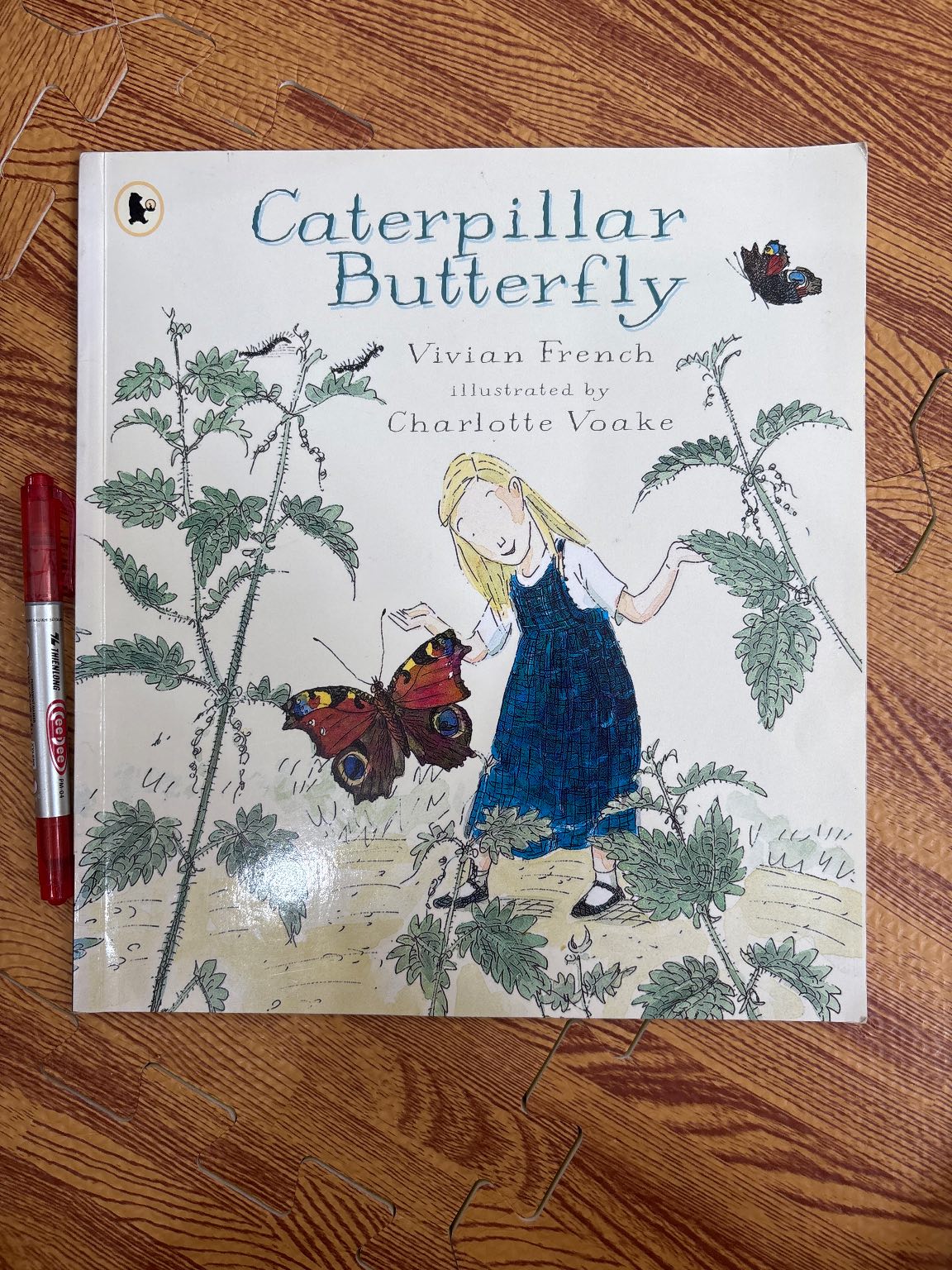 Caterpillar Butterfly — ảnh 1