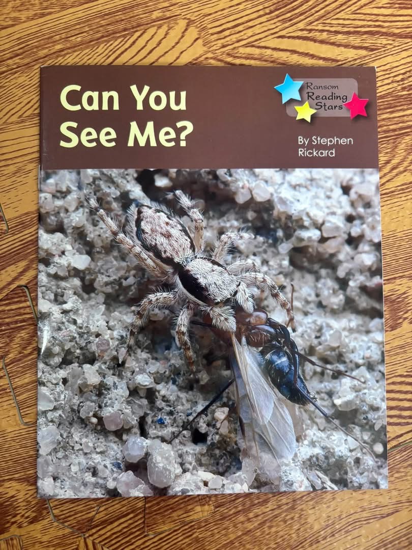 Can You See Me?