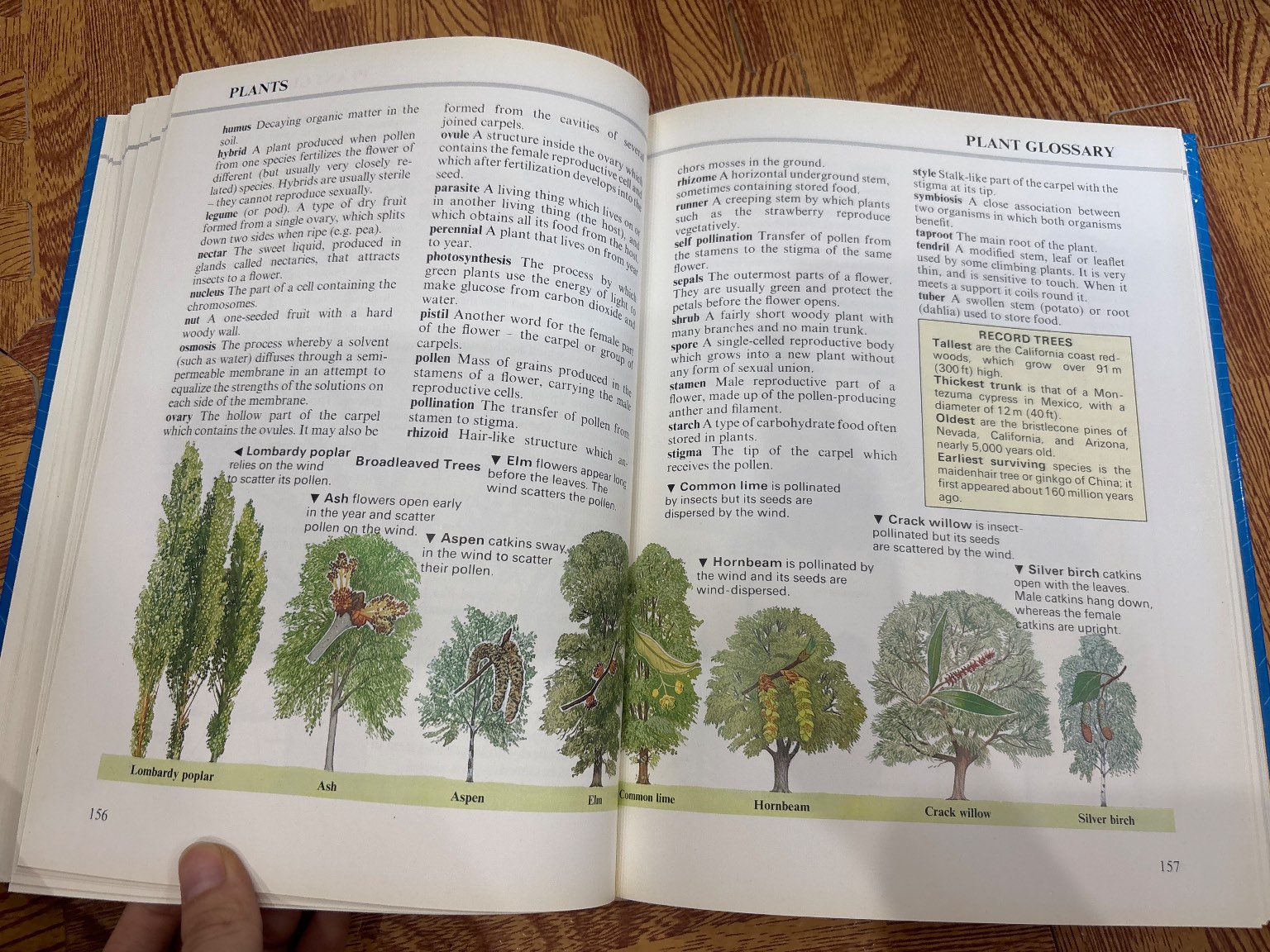 The Kingfisher Children's Factfinder — ảnh 6