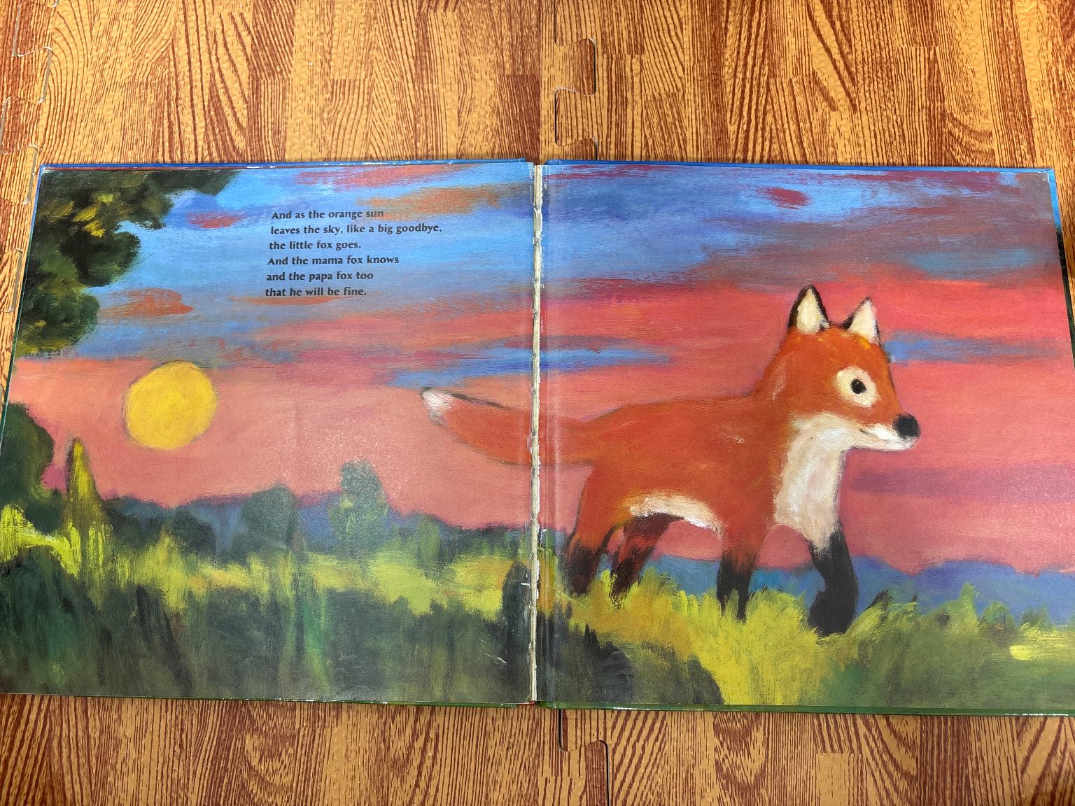 FOX — ảnh 2