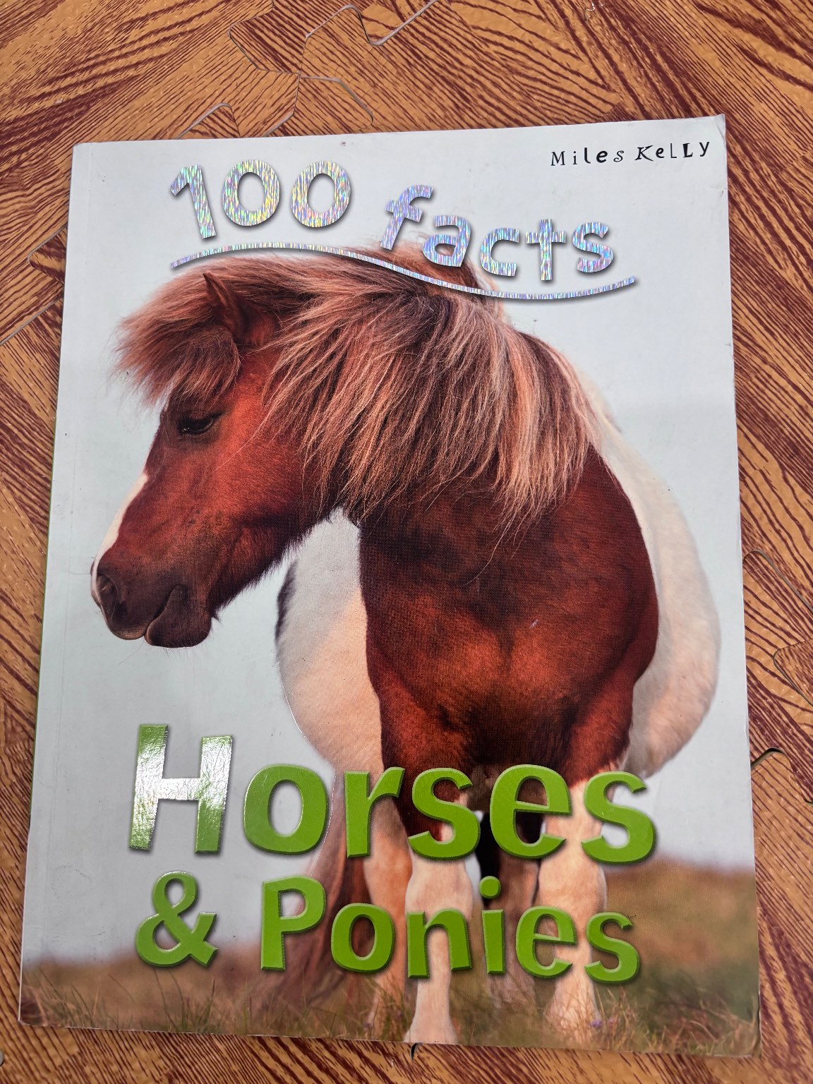 100 facts Horses & Ponies — ảnh 1