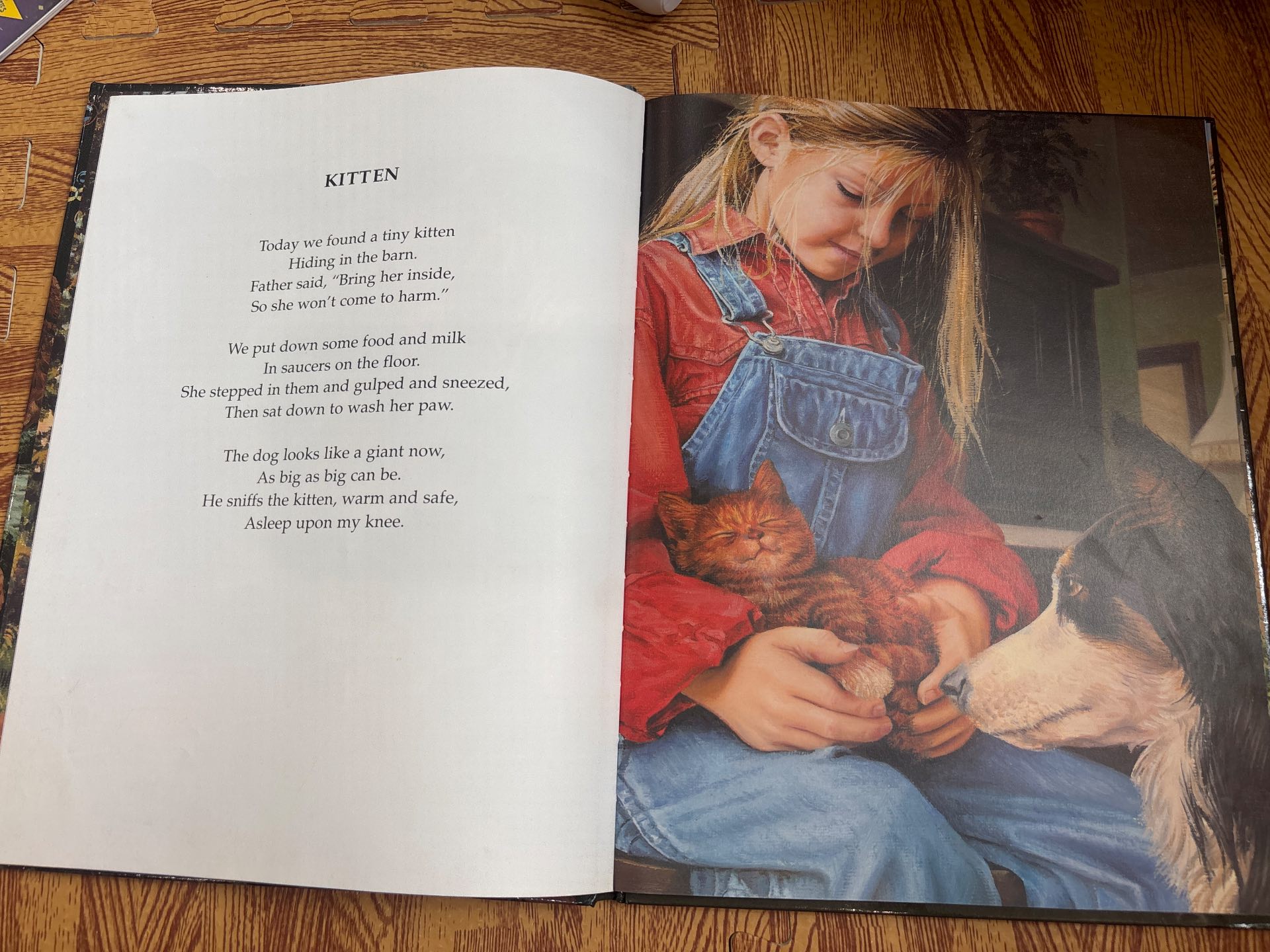 Anna Growing Up on the Farm — ảnh 2