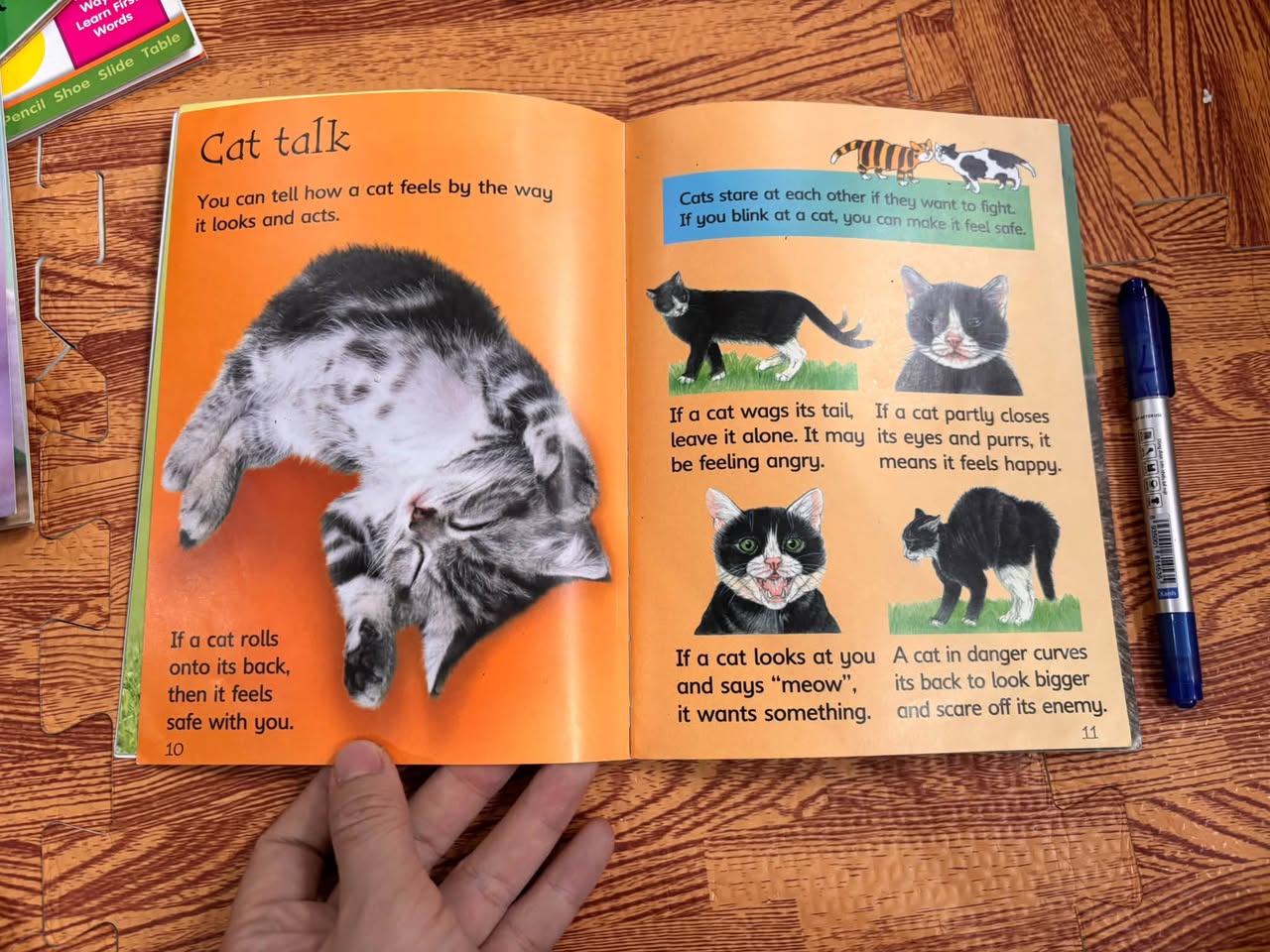 Usborne Beginners: Cats — ảnh 4