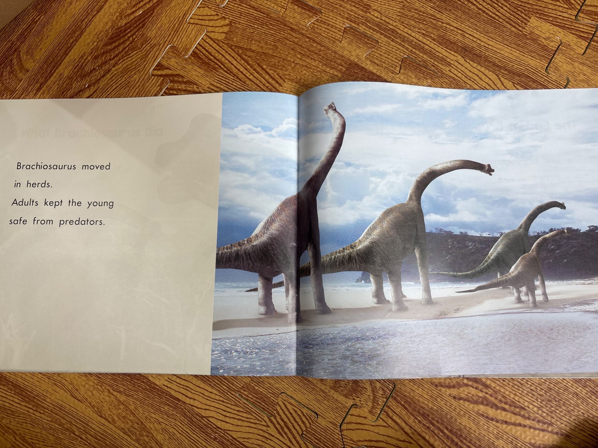 Brachiosaurus — ảnh 4