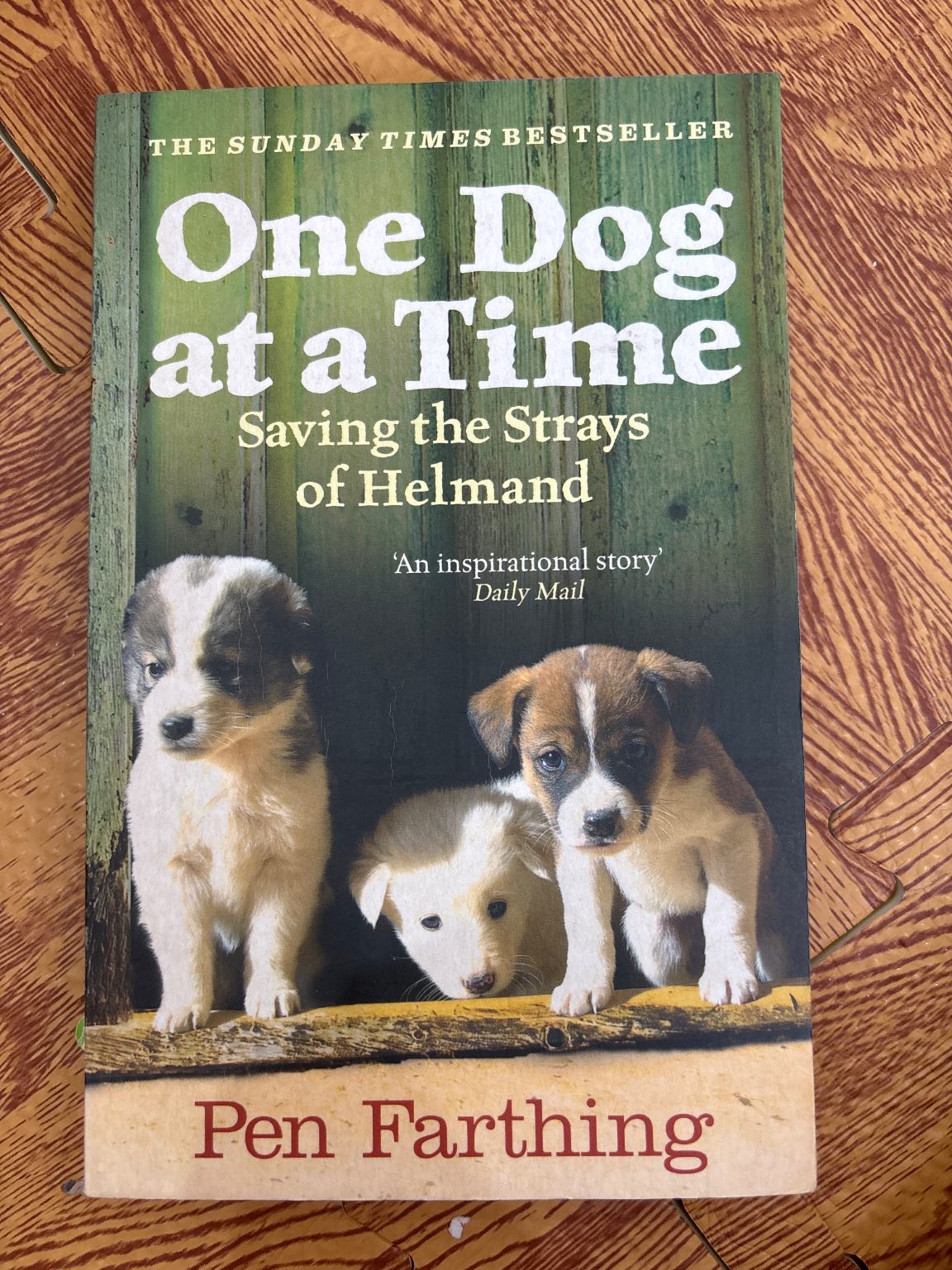 One Dog at a Time