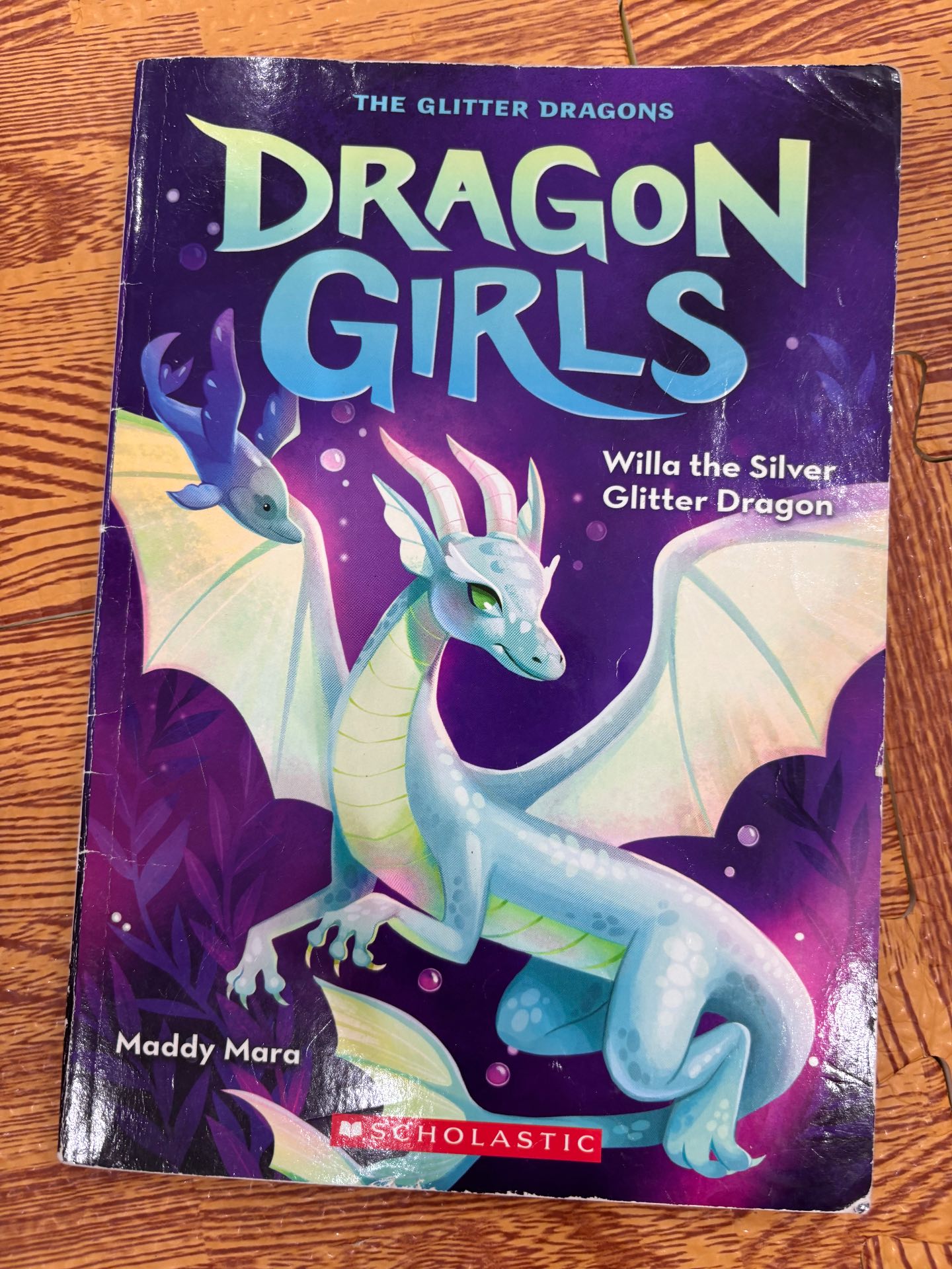 Dragon Girls: Willa the Silver Glitter Dragon — ảnh 1