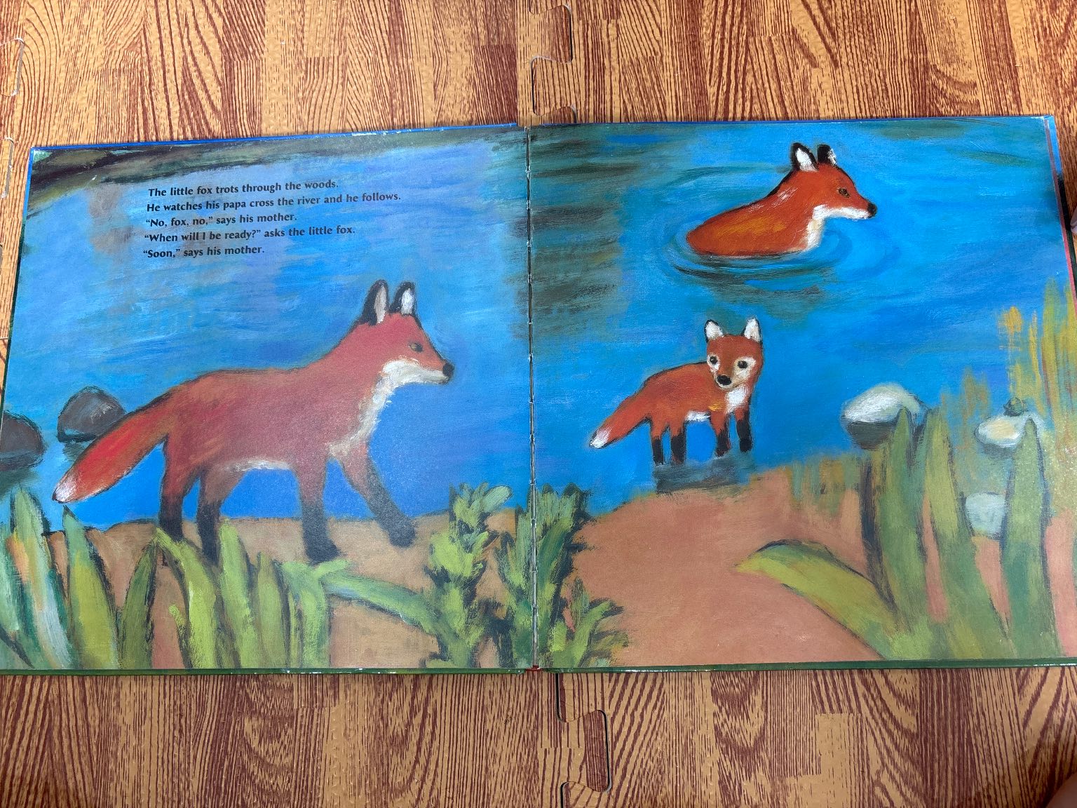 FOX — ảnh 4