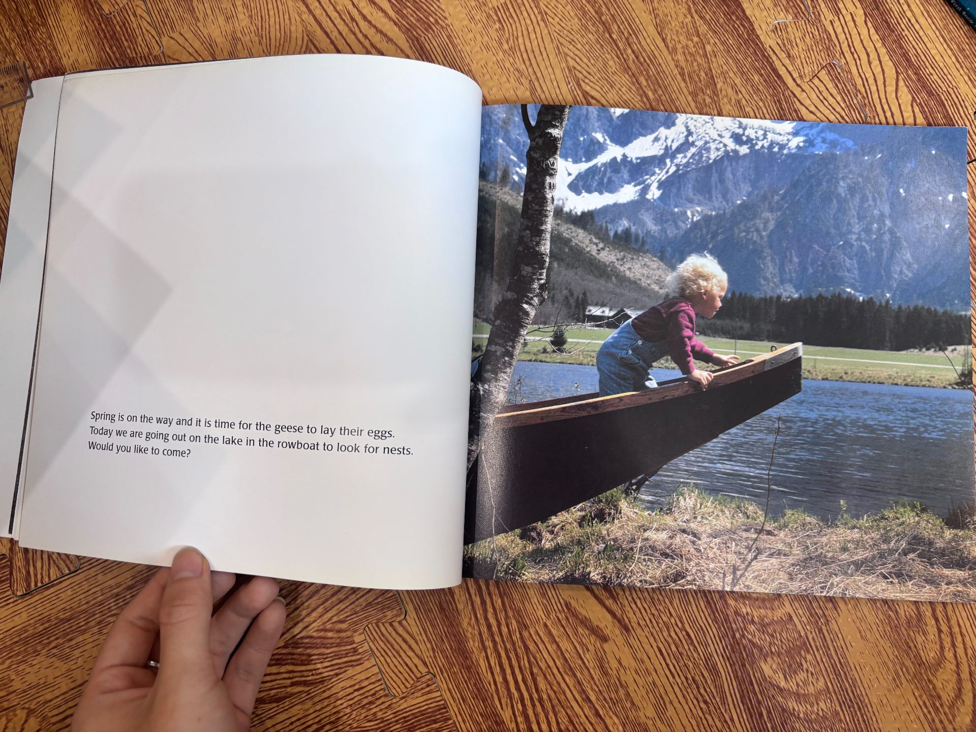 The Goose Family Book — ảnh 4
