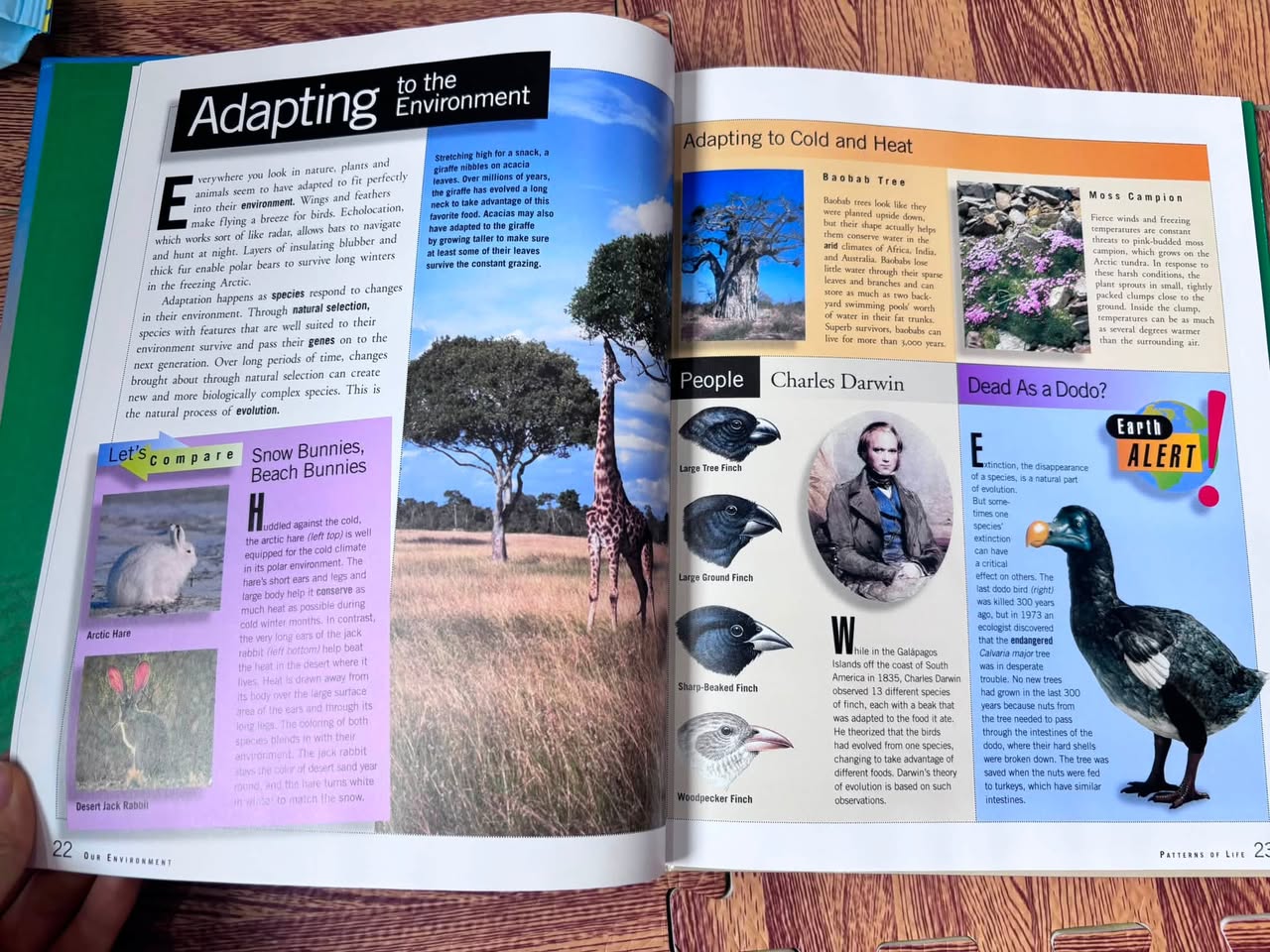 Time Life Student Library: Our Environment — ảnh 3