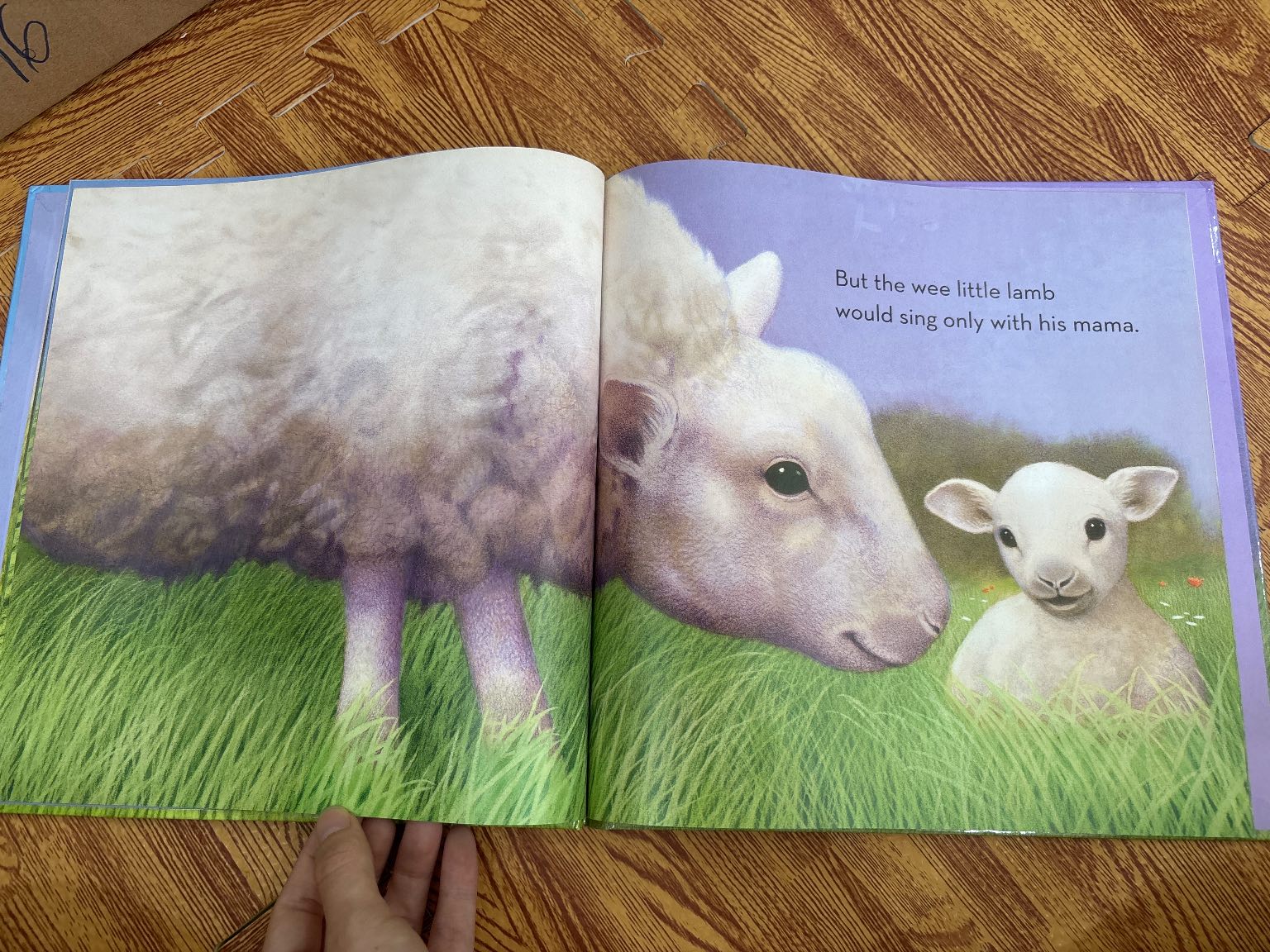 WEE LITTLE LAMB — ảnh 4