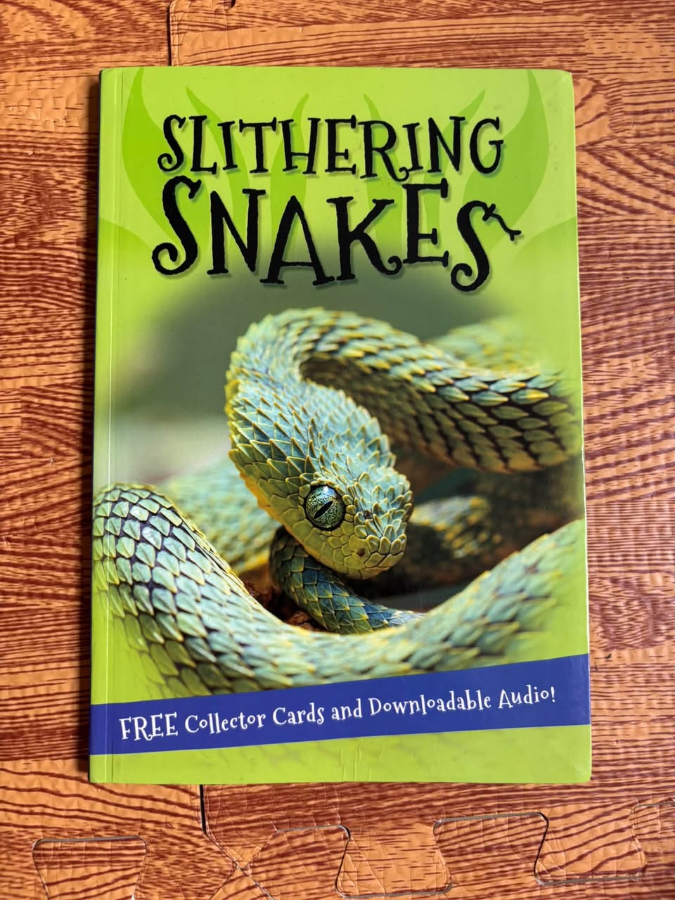 SLITHERING SNAKES (DISCOVERY KIDS / EARLY READERS) — ảnh 1