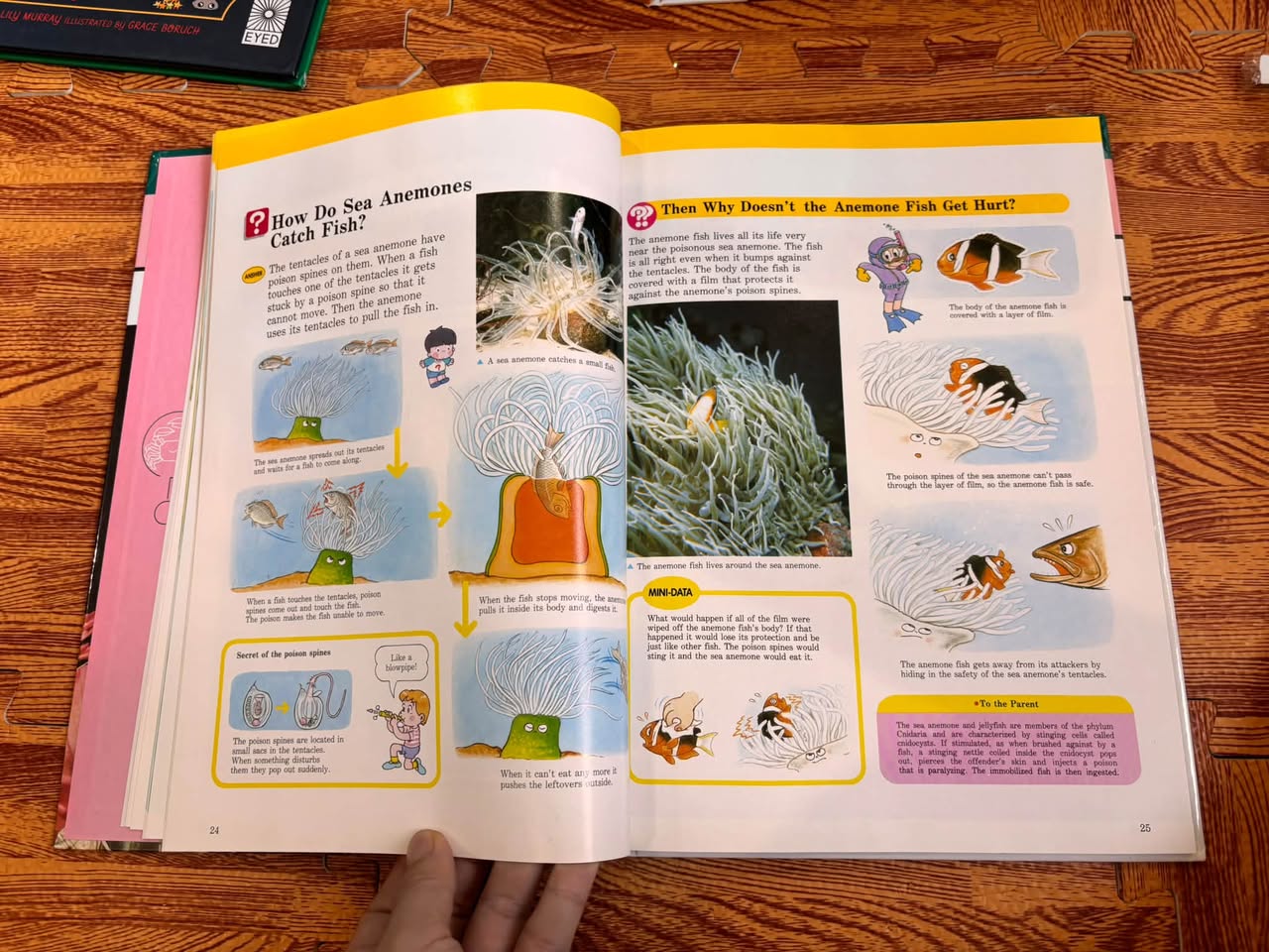 ANIMALS IN ACTION (A CHILD'S FIRST LIBRARY OF LEARNING - TIME LIFE) — ảnh 5