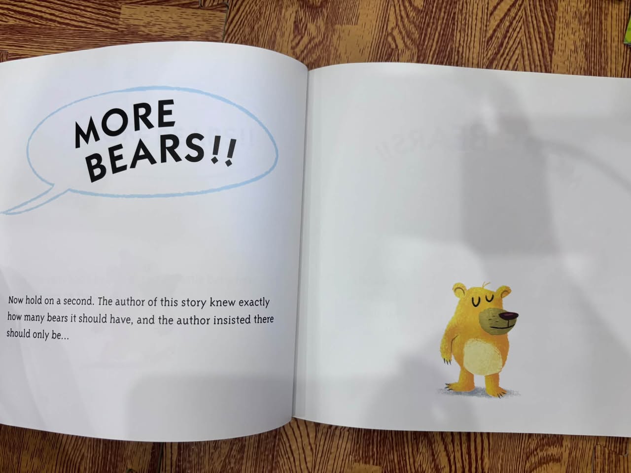 MORE BEARS! — ảnh 2