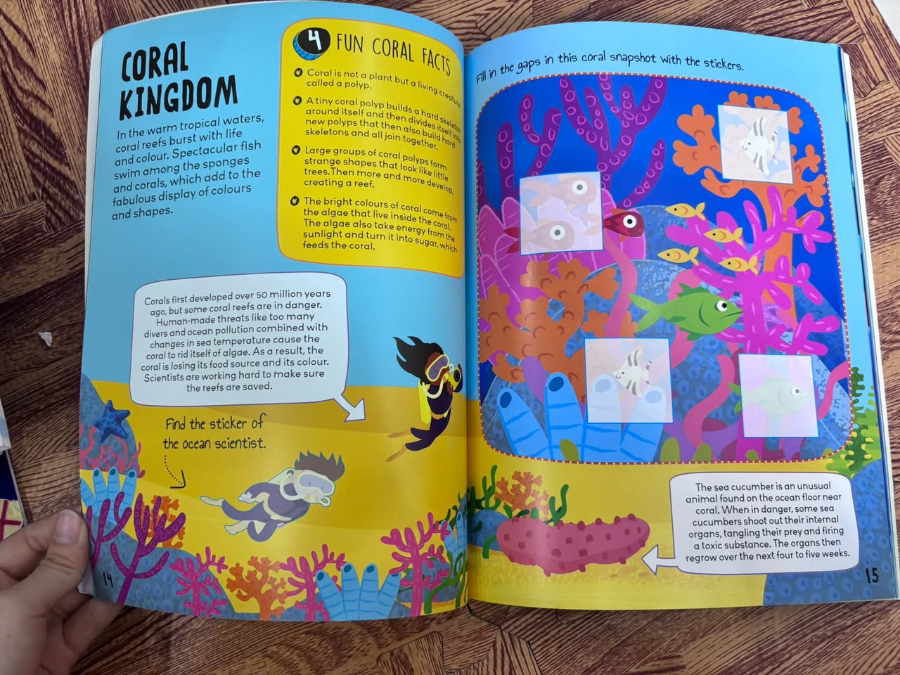 KNOW AND GLOW: OCEAN STICKER ACTIVITIES (GLOW-IN-THE-DARK STICKERS) — ảnh 5
