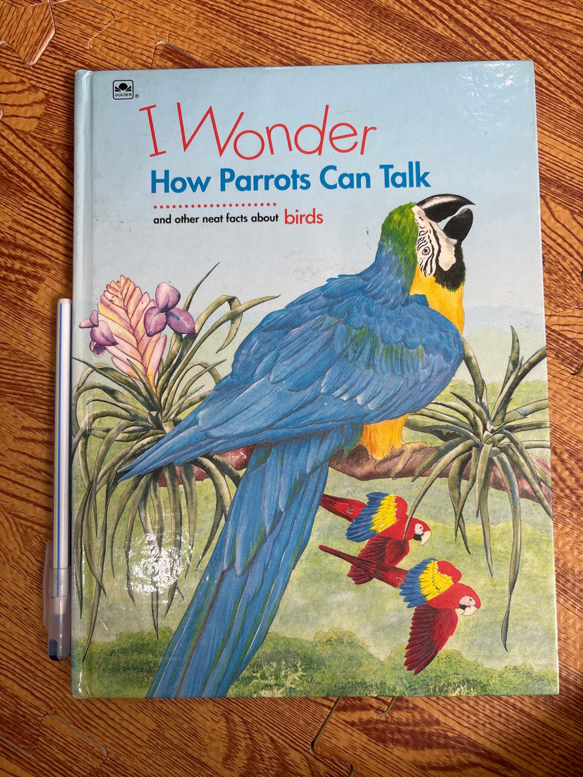 I Wonder How Parrots Can Talk