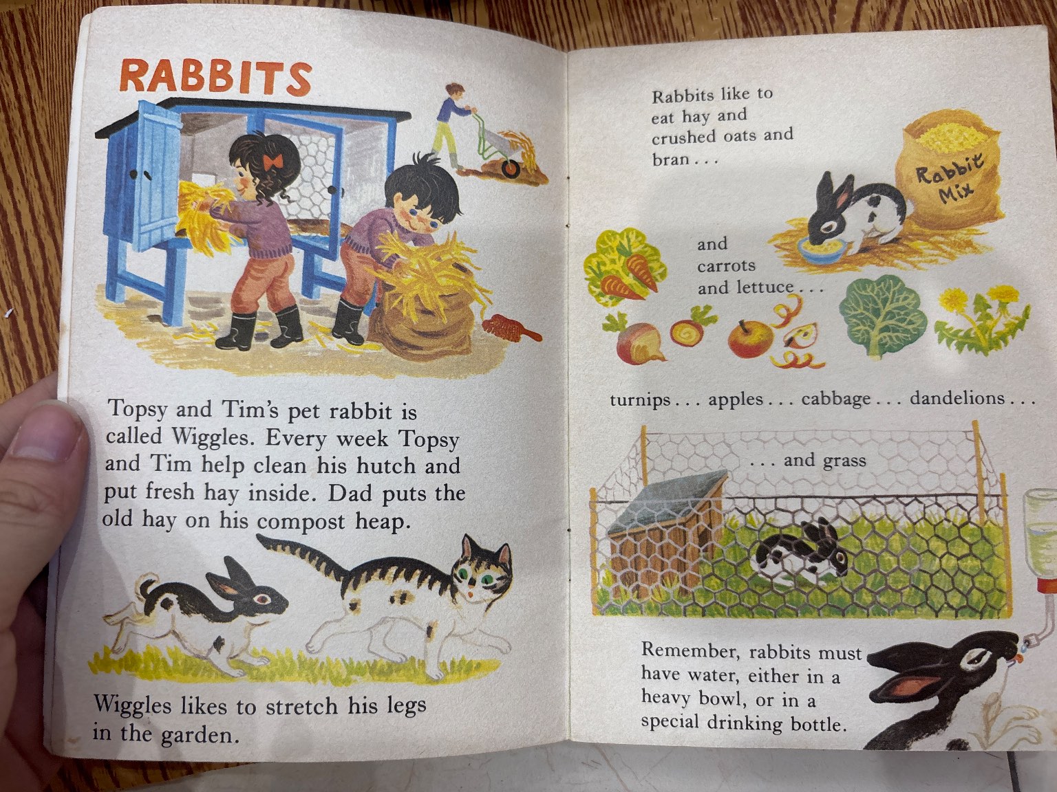 Topsy and Tim PETS — ảnh 2