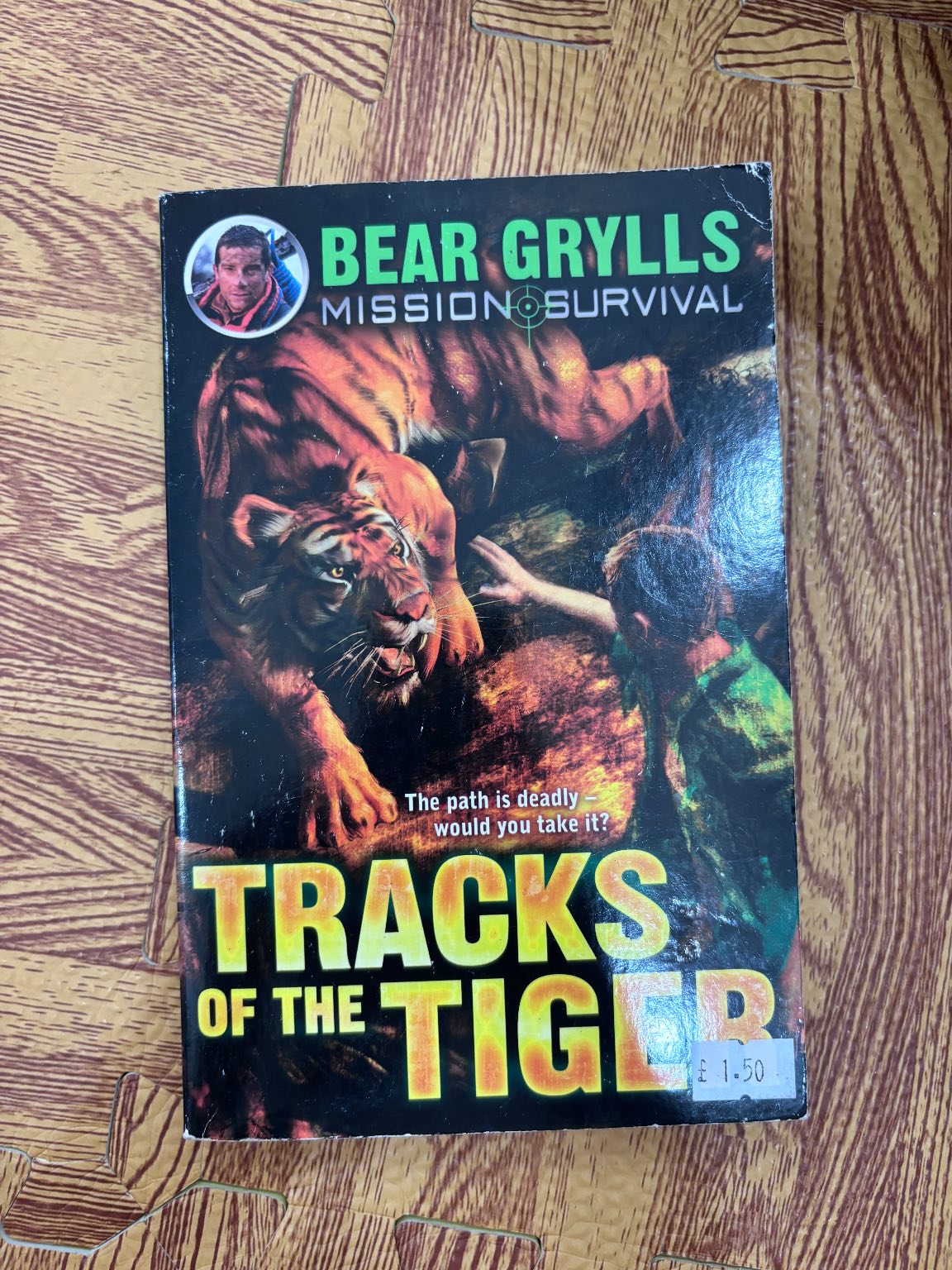 Tracks of the Tiger — ảnh 1