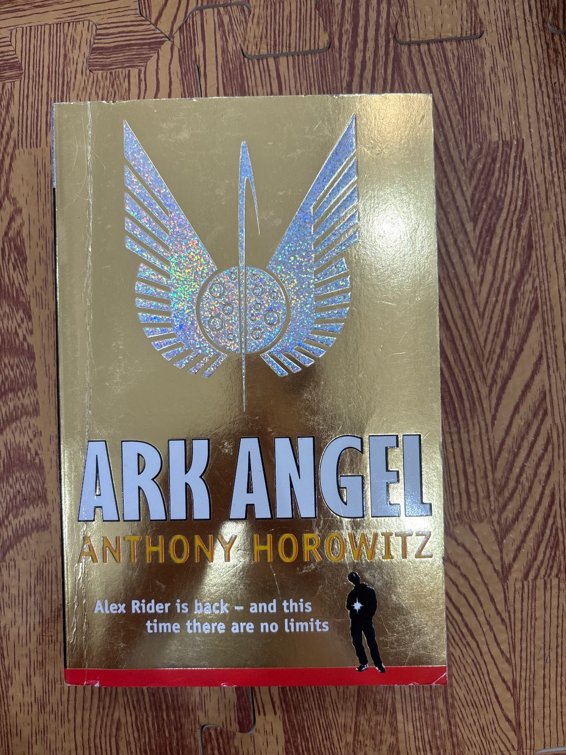 Ark Angel