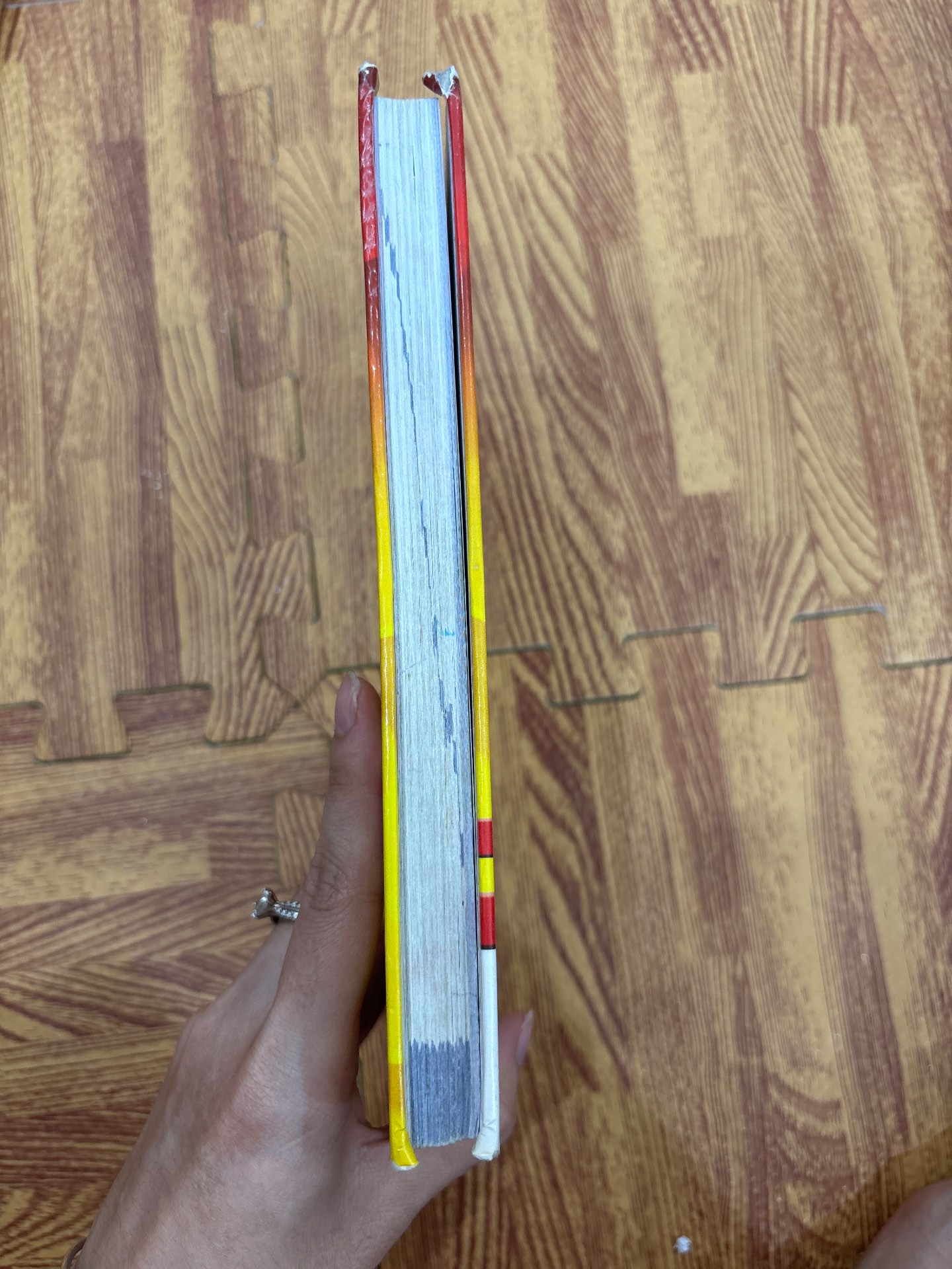 Oxford Junior Thesaurus — ảnh 7