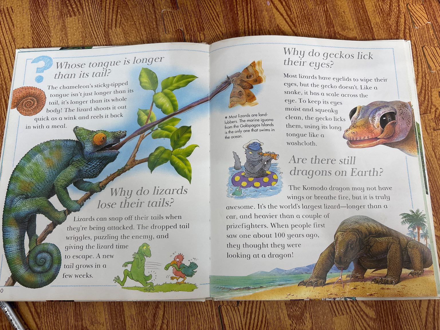 I Wonder Why Snakes Shed Their Skins and Other Questions About Reptiles — ảnh 6