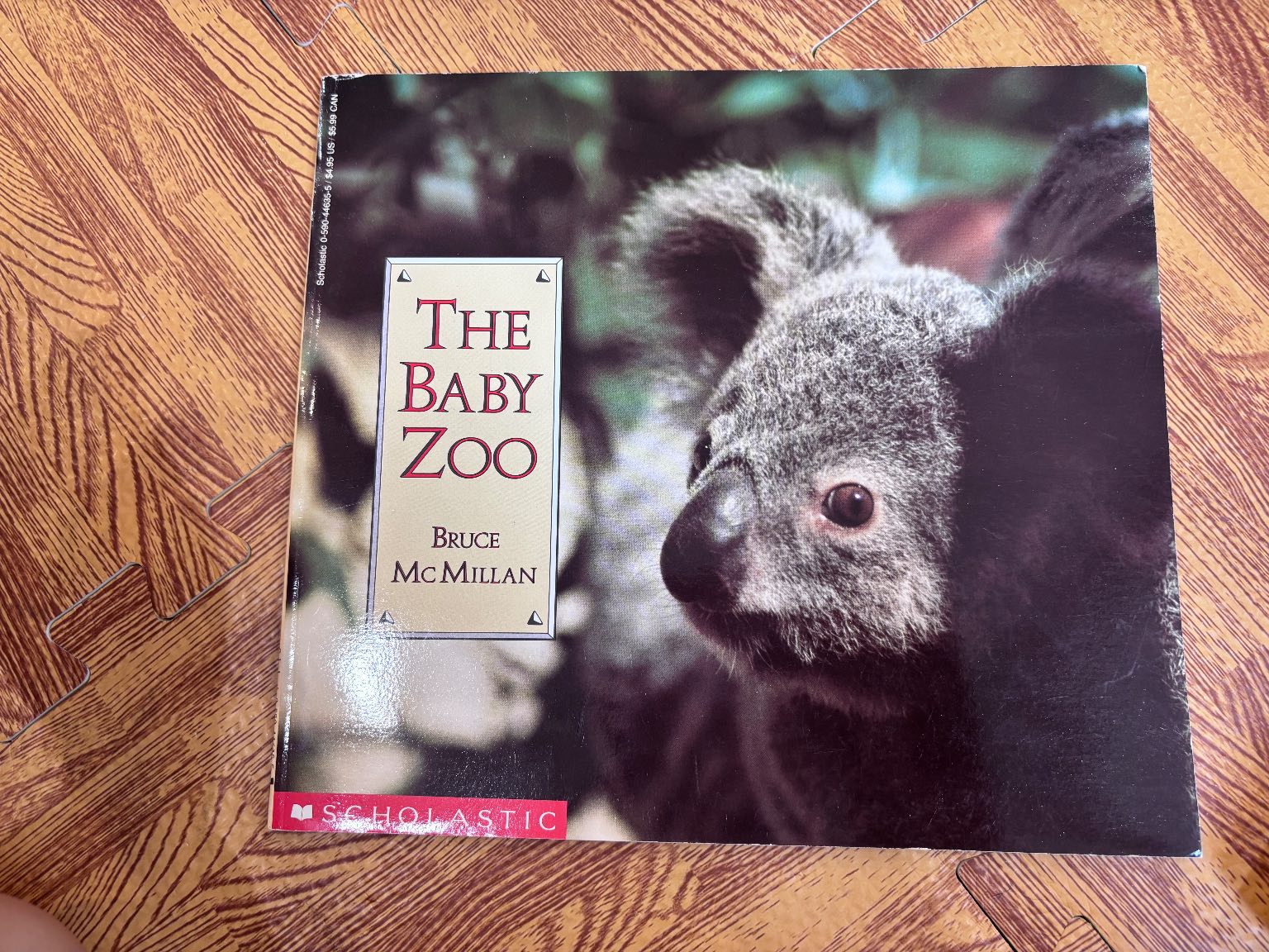 The Baby Zoo