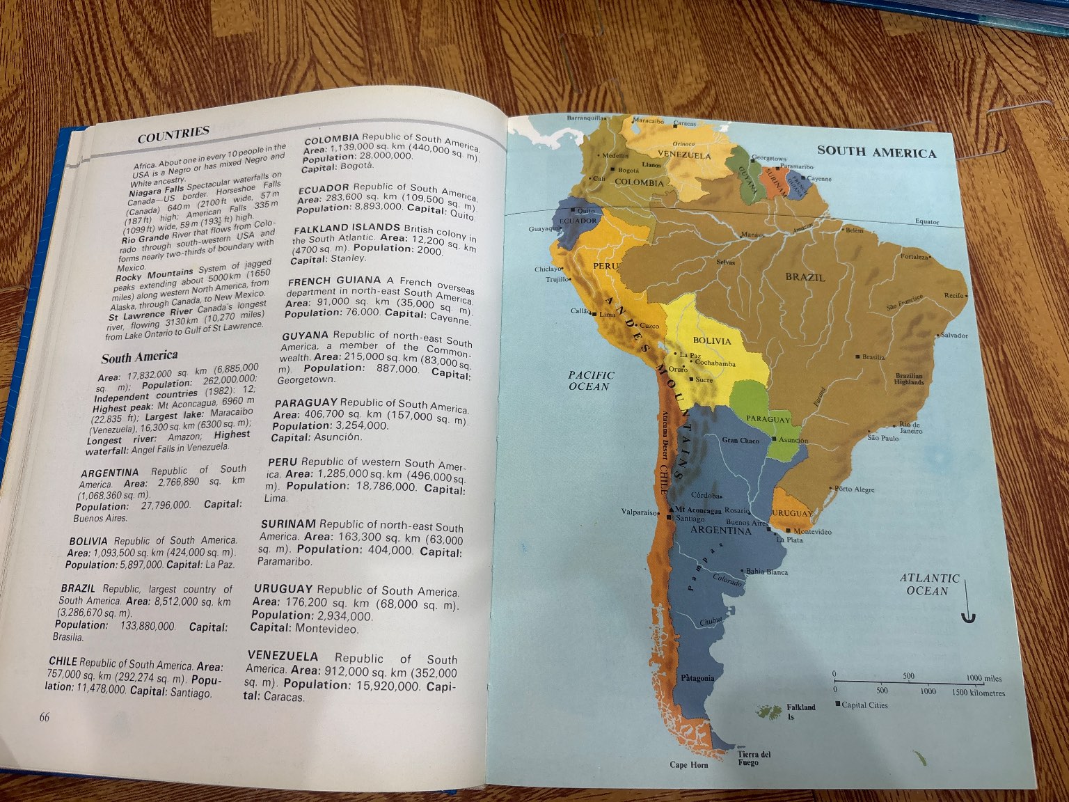 The Kingfisher Children's Factfinder — ảnh 3